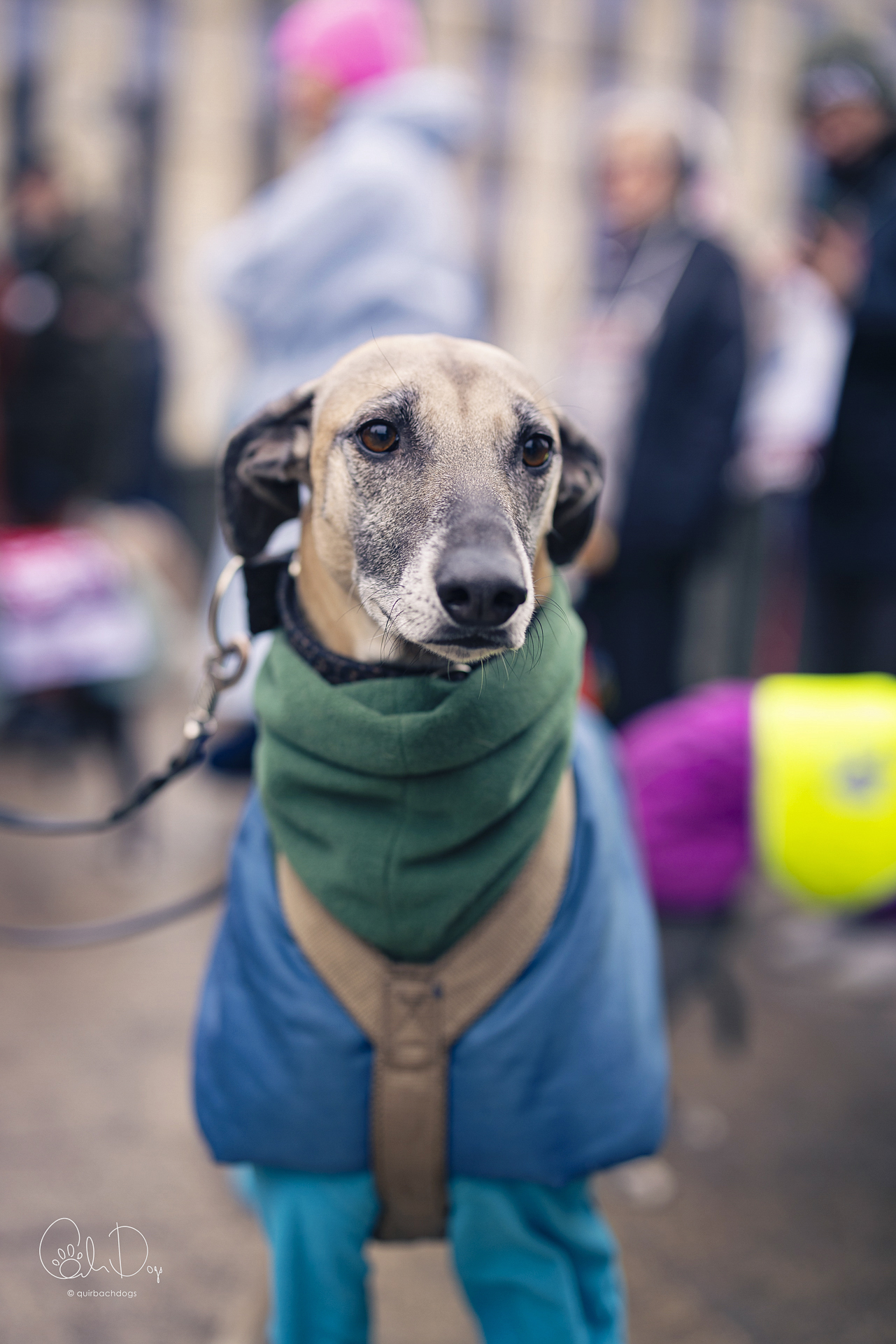 Quirbach Photography