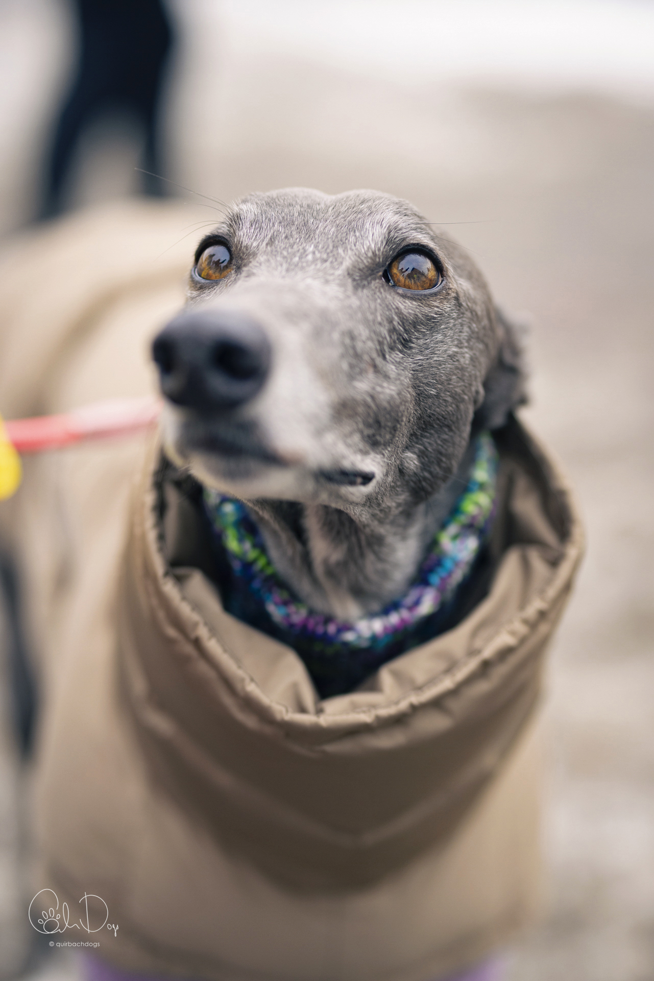 Quirbach Photography