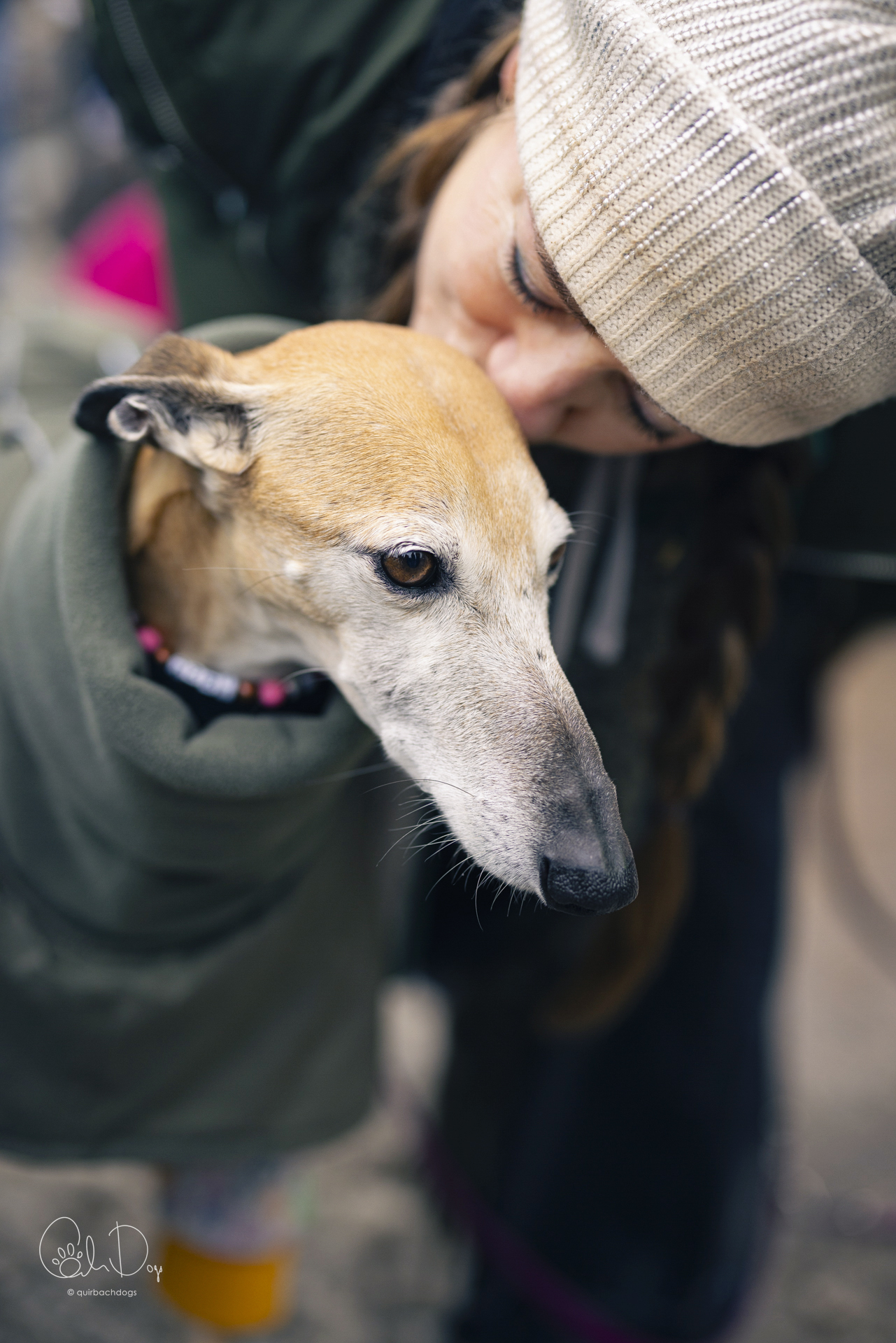 Quirbach Photography