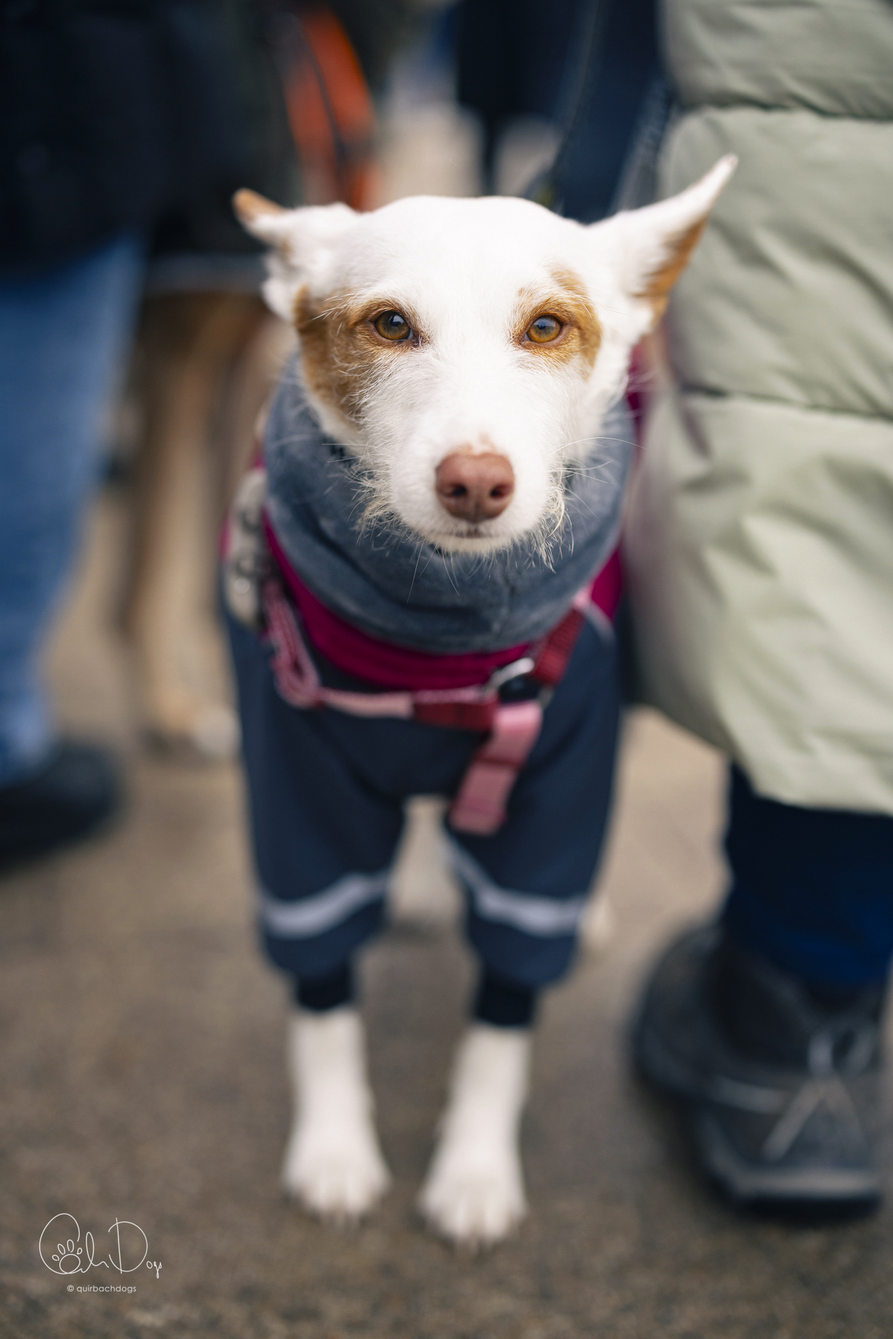 Quirbach Photography