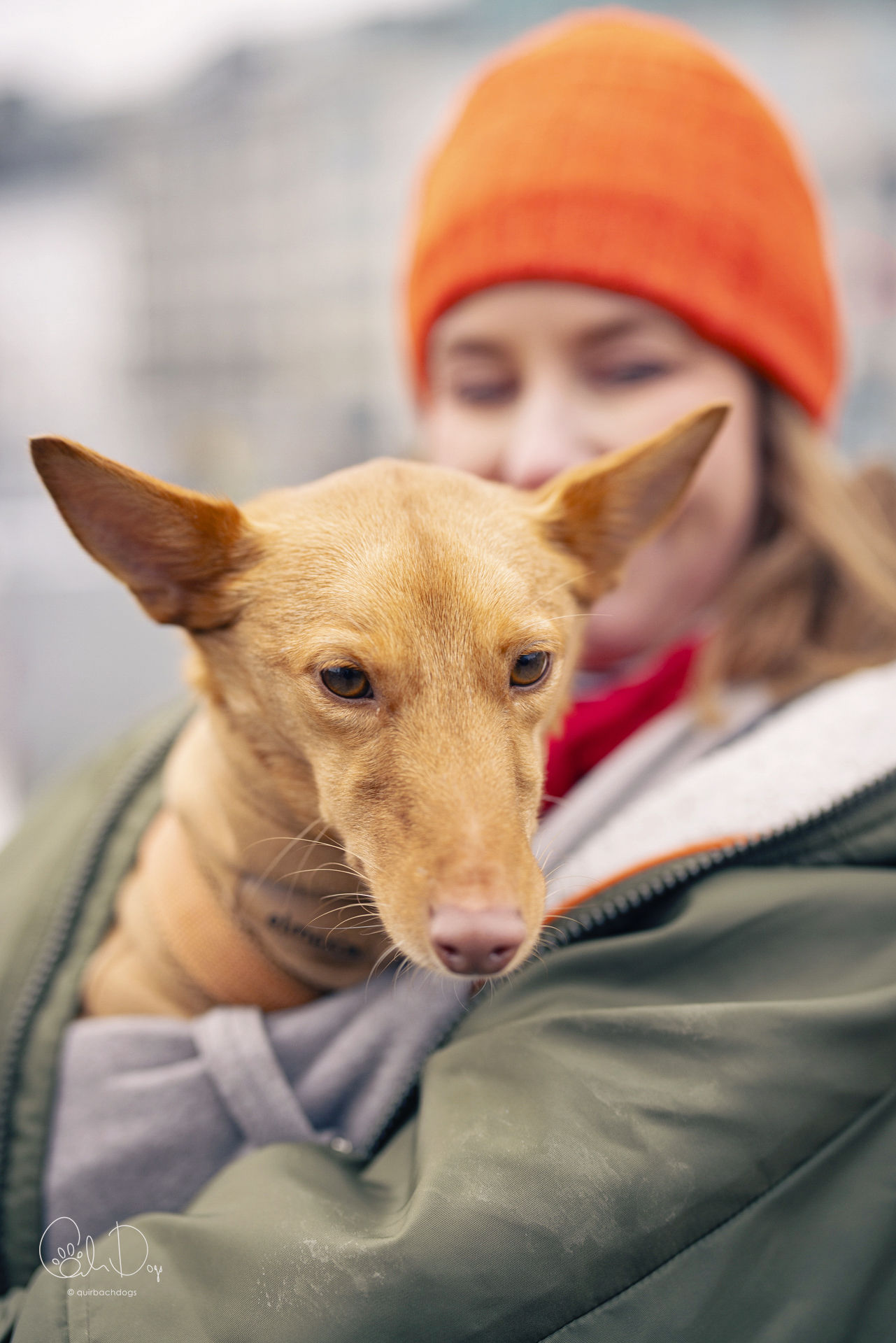 Quirbach Photography