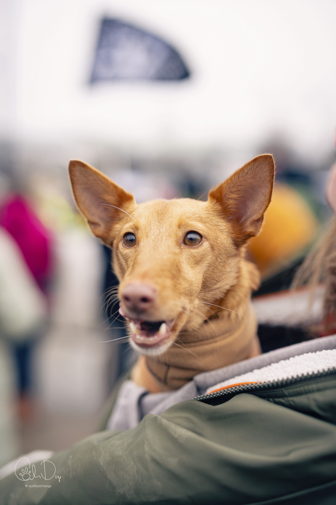 Quirbach Photography