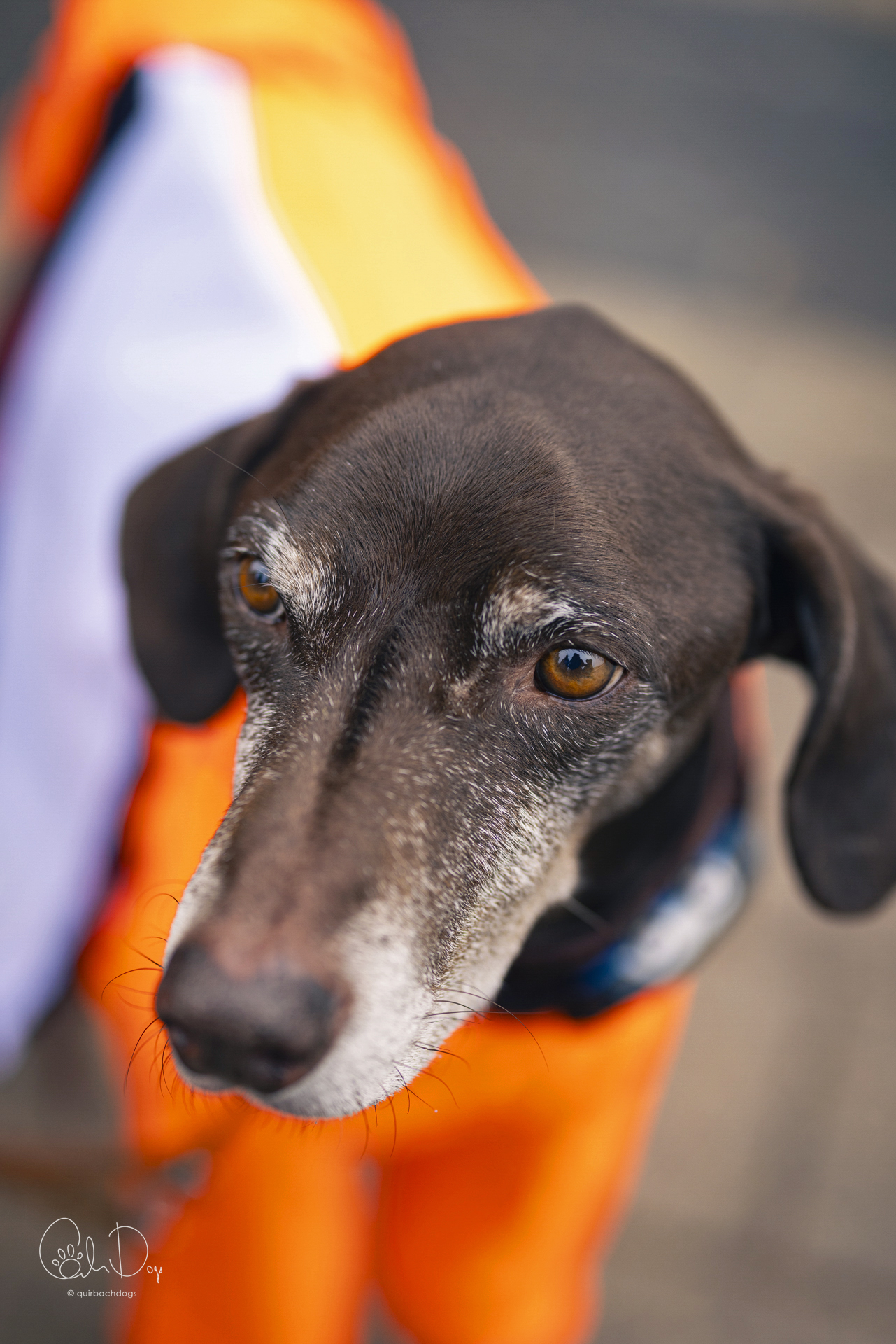 Quirbach Photography