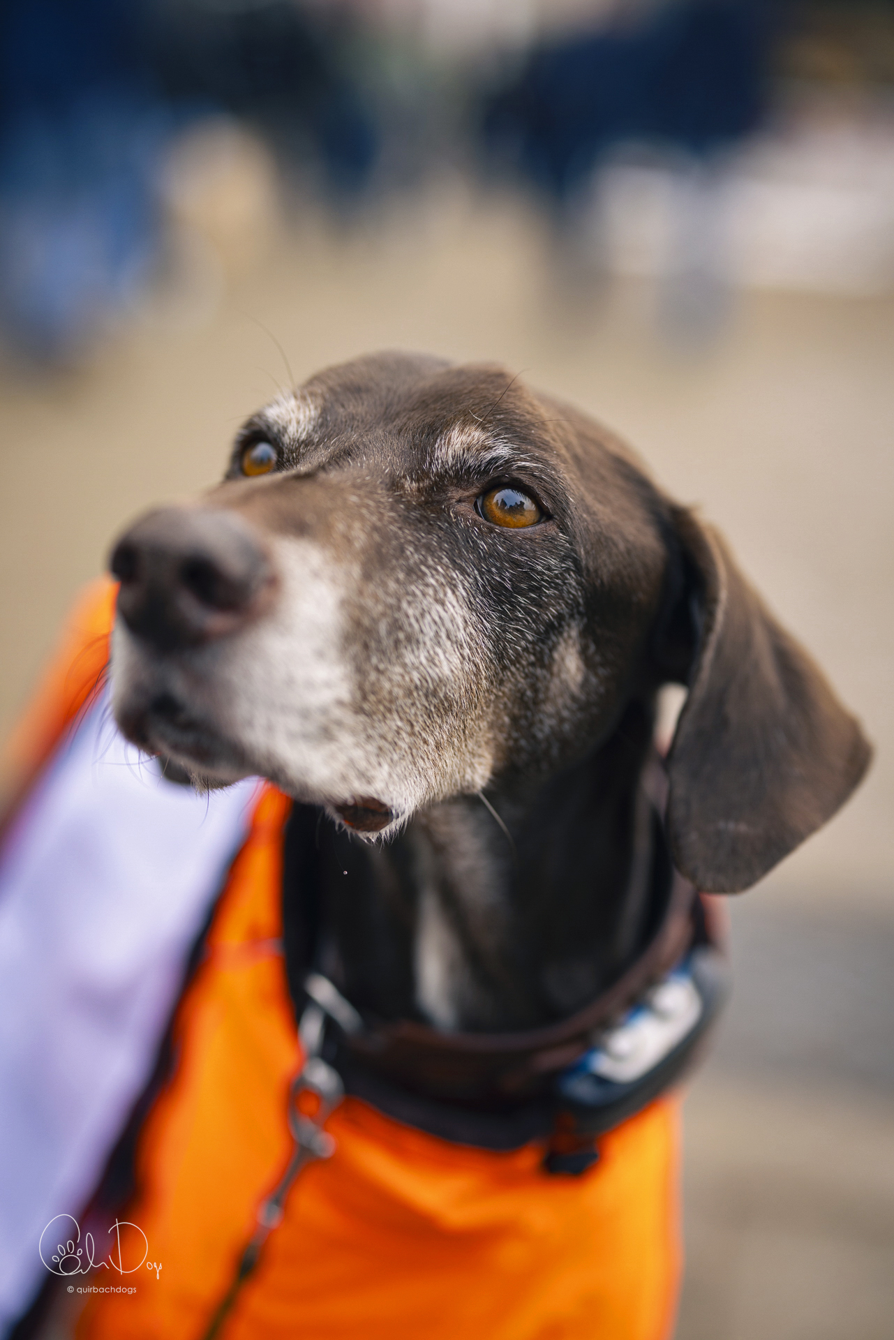 Quirbach Photography