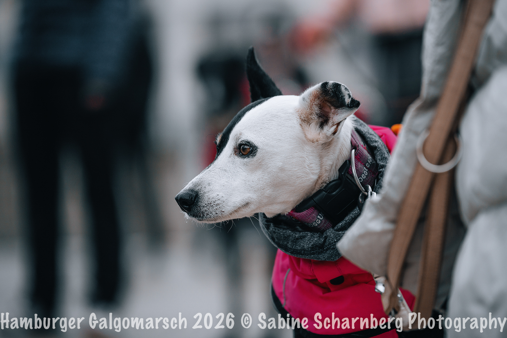 _Sabine Scharnberg Photography_BIN8387-Bearbeitet_Web