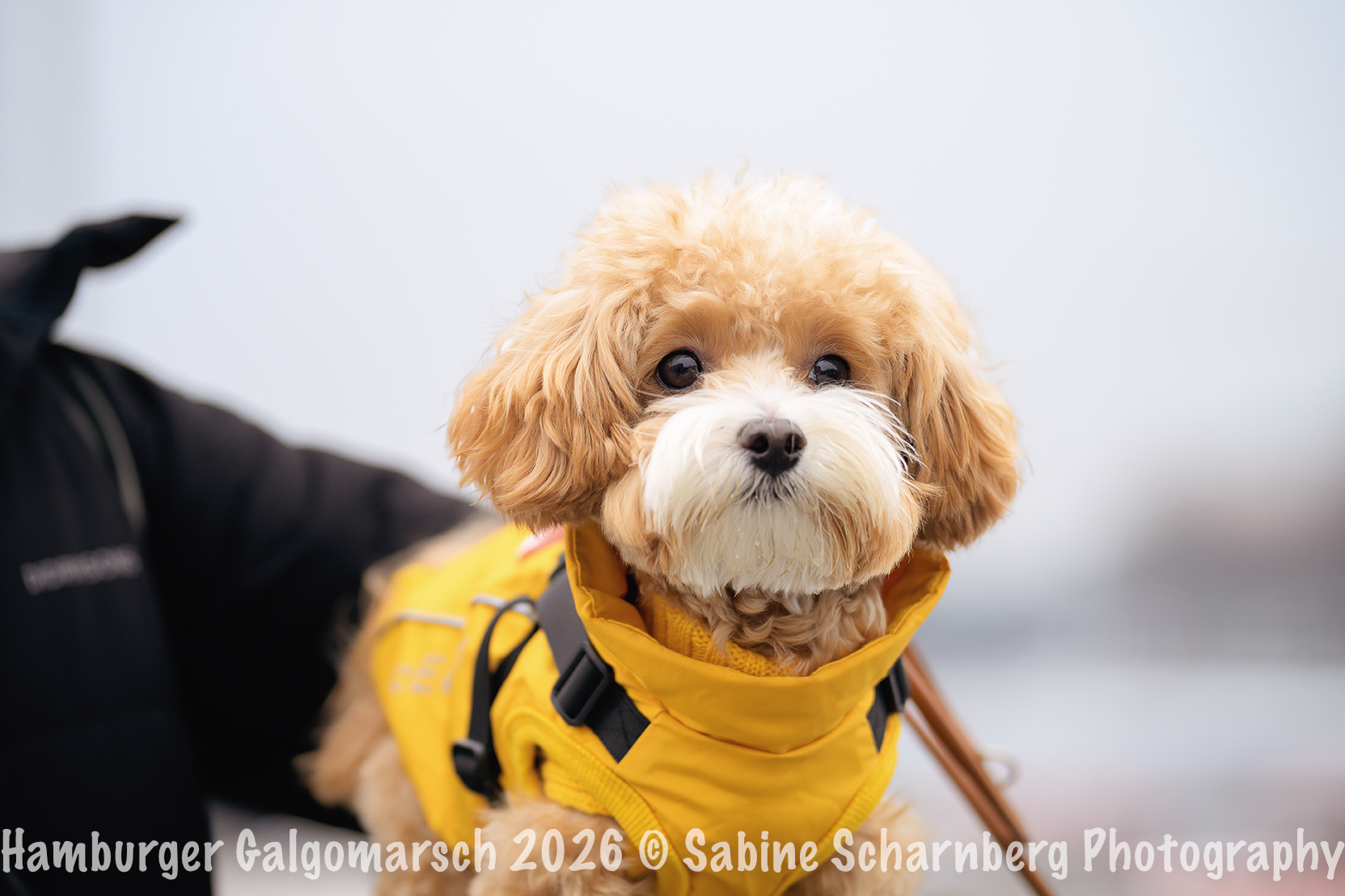 _Sabine Scharnberg Photography_BIN8388-Bearbeitet_Web