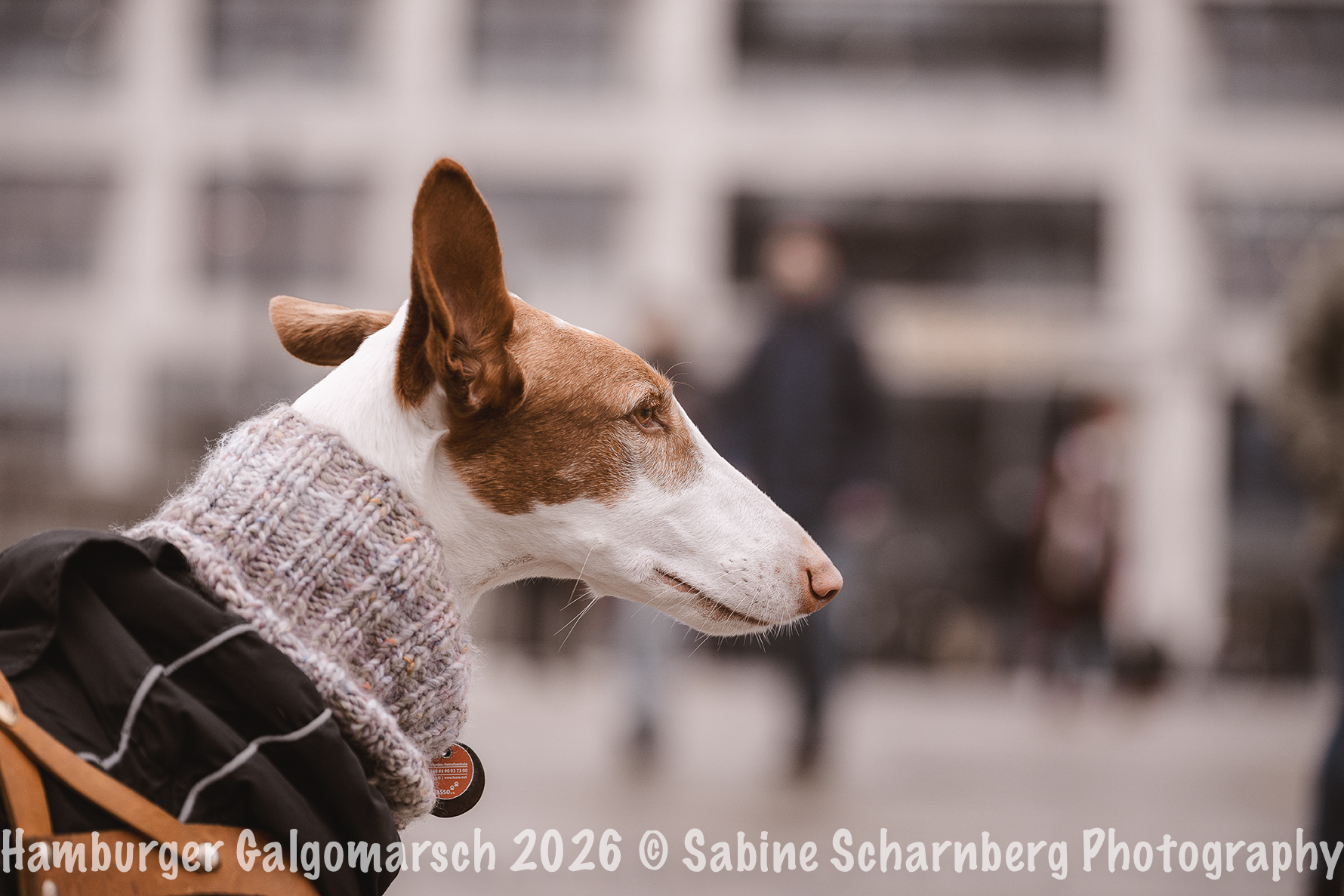 _Sabine Scharnberg Photography_BIN8391-Bearbeitet_Web
