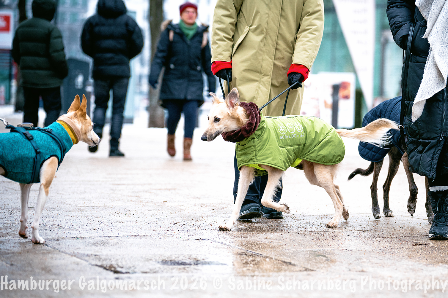 _Sabine Scharnberg Photography_BIN8395-Bearbeitet_Web