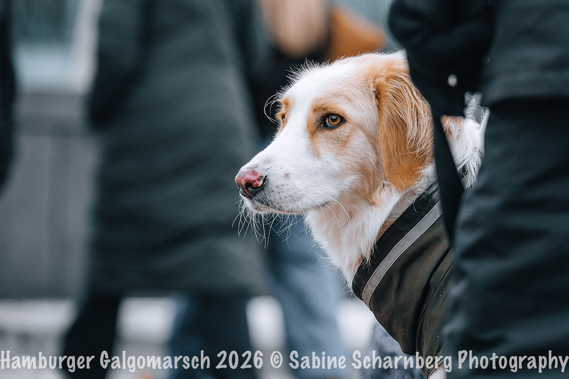_Sabine Scharnberg Photography_BIN8398-Bearbeitet_Web