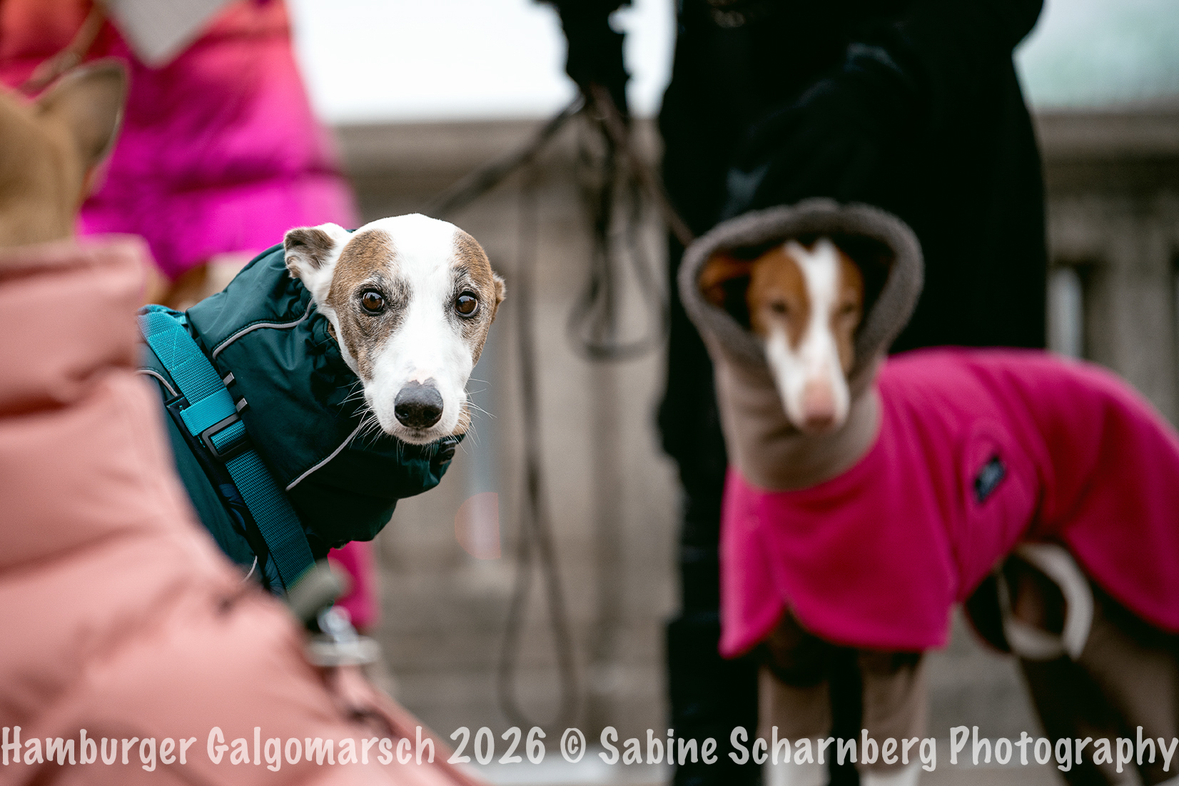 _Sabine Scharnberg Photography_BIN8423-Bearbeitet_Web