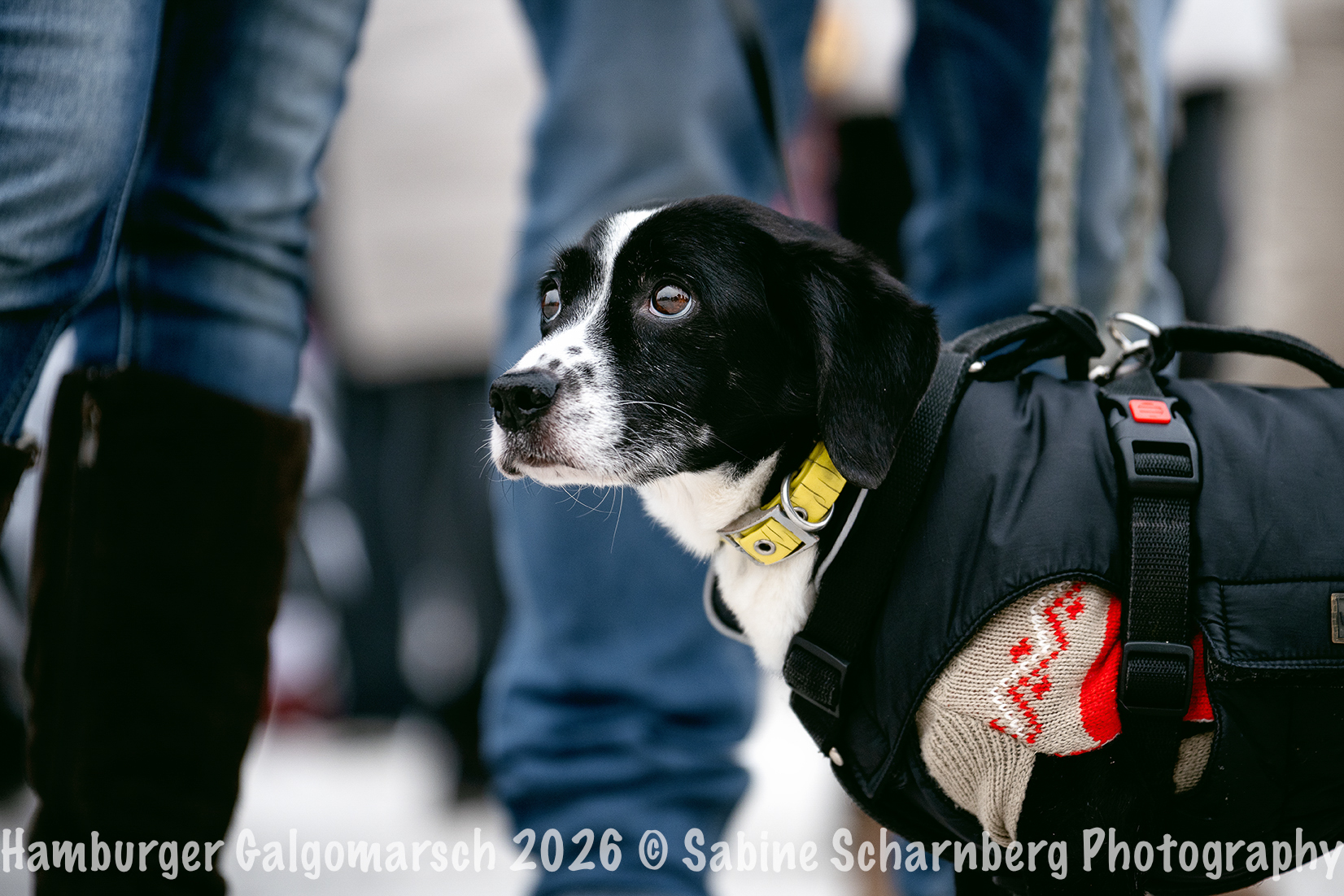 _Sabine Scharnberg Photography_BIN8426-Bearbeitet_Web