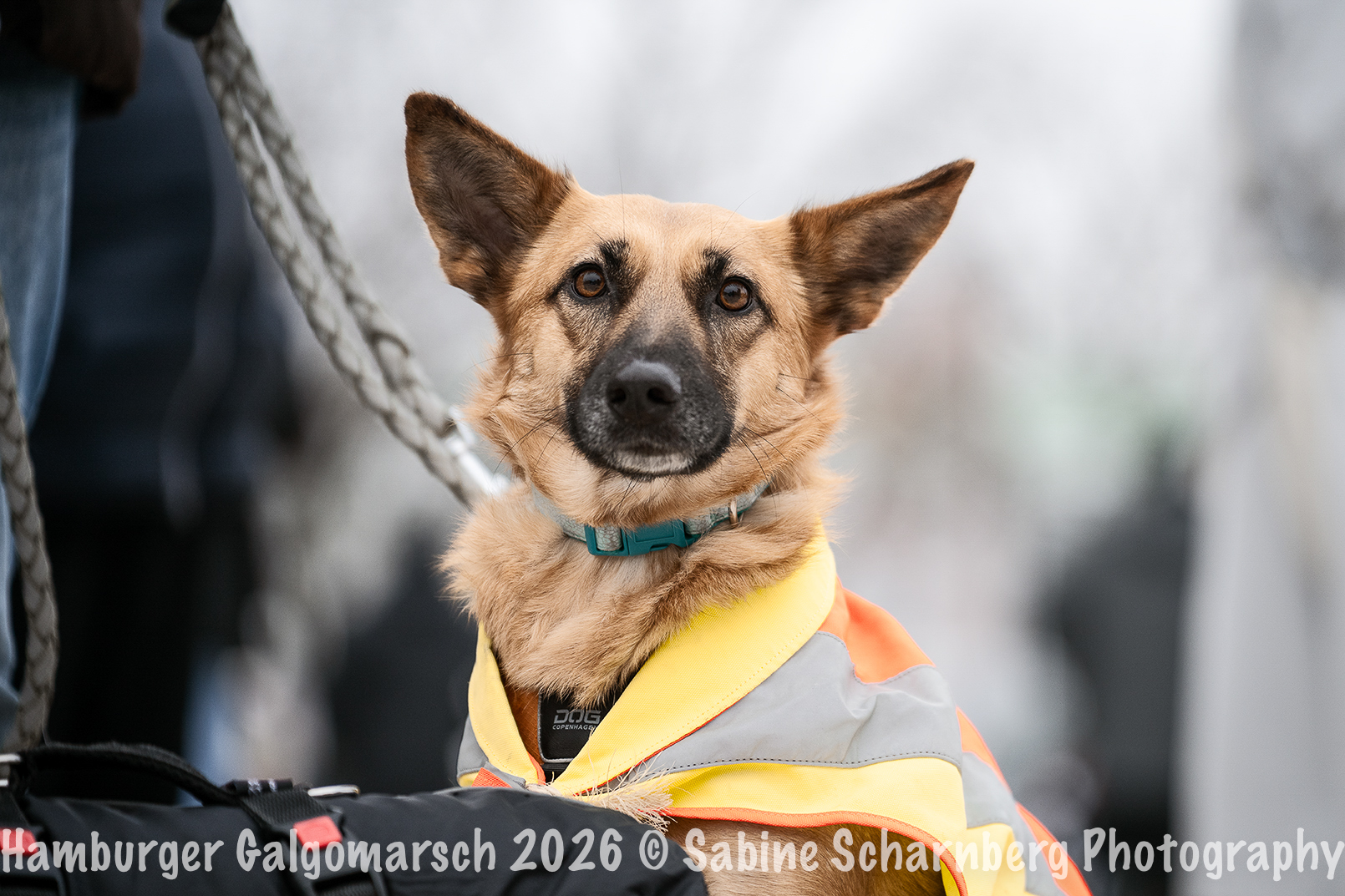 _Sabine Scharnberg Photography_BIN8430-Bearbeitet_Web