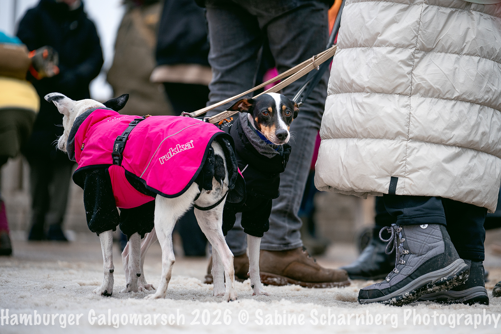 _Sabine Scharnberg Photography_BIN8433-Bearbeitet_Web