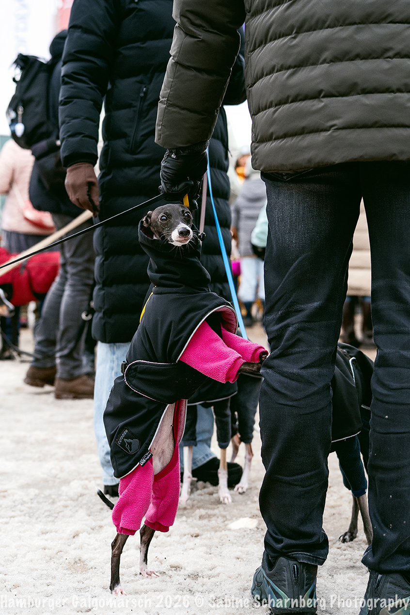 _Sabine Scharnberg Photography_BIN8450-Bearbeitet_Web