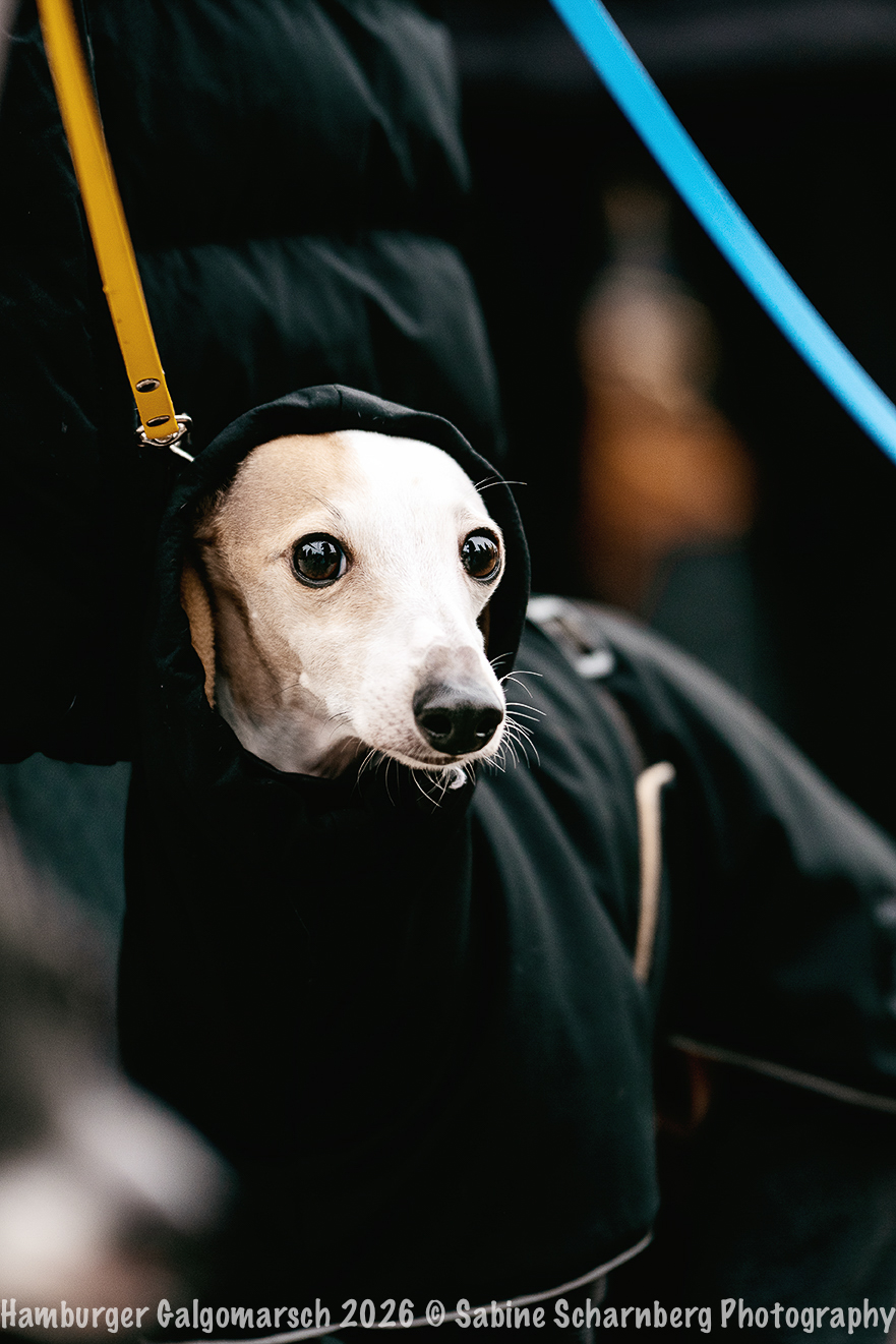 _Sabine Scharnberg Photography_BIN8459-Bearbeitet_Web