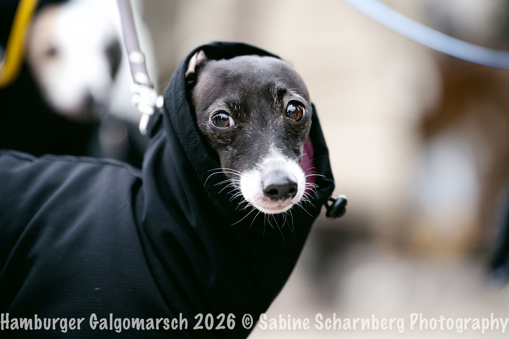 _Sabine Scharnberg Photography_BIN8464-Bearbeitet_Web