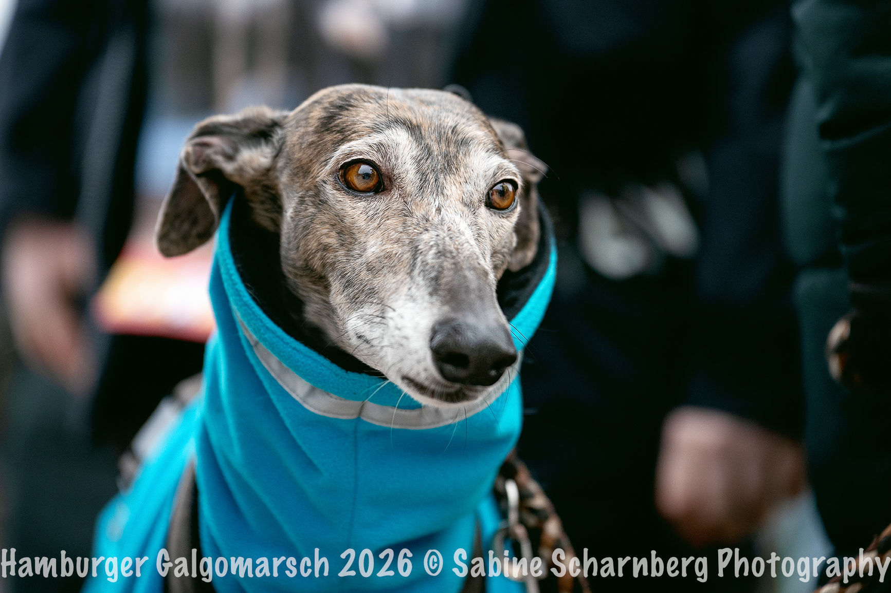 _Sabine Scharnberg Photography_BIN8469-Bearbeitet_Web