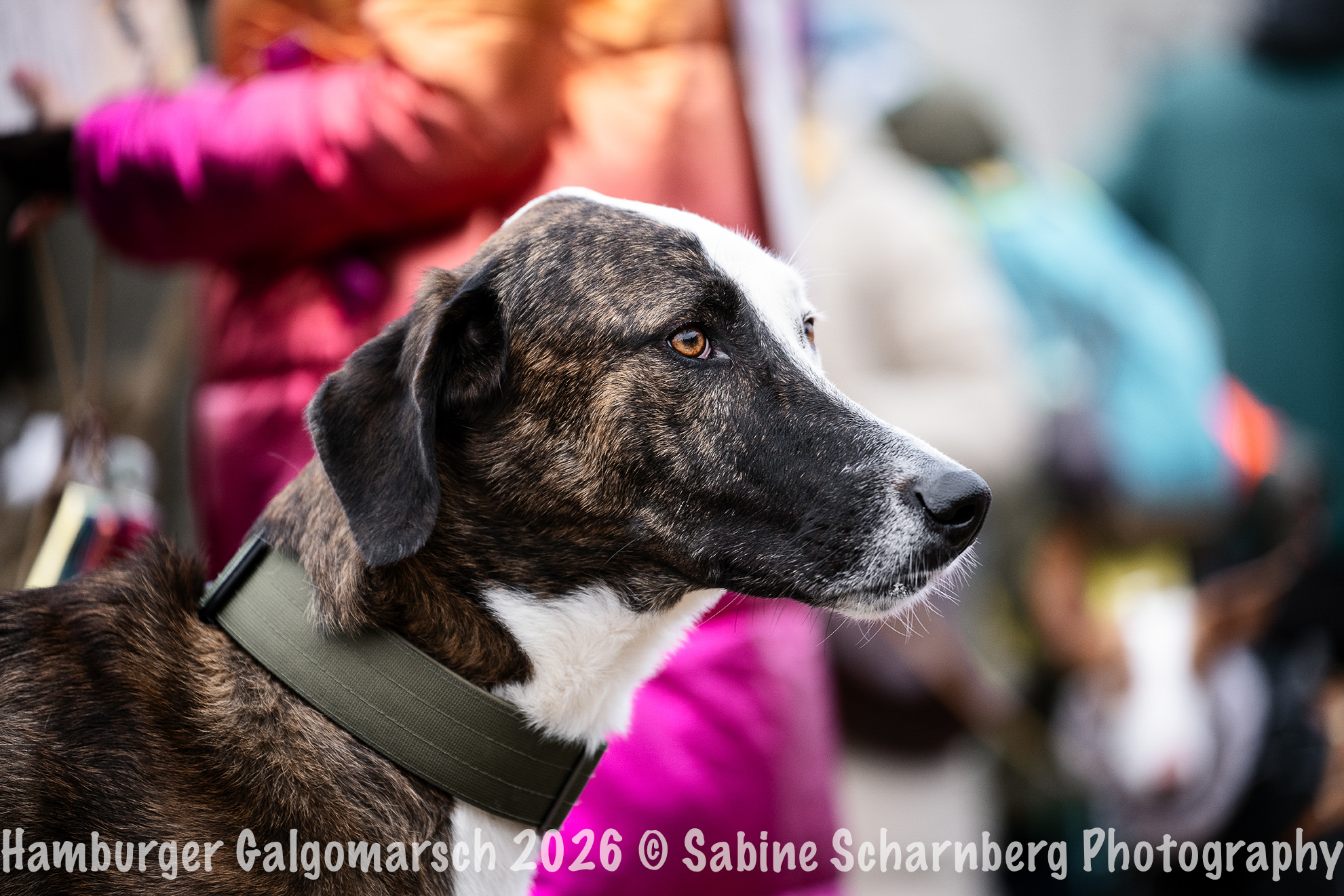 _Sabine Scharnberg Photography_BIN8477-Bearbeitet_Web