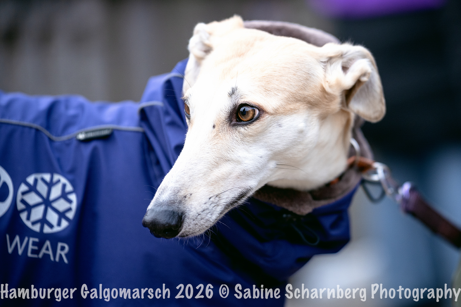 _Sabine Scharnberg Photography_BIN8481-Bearbeitet_Web
