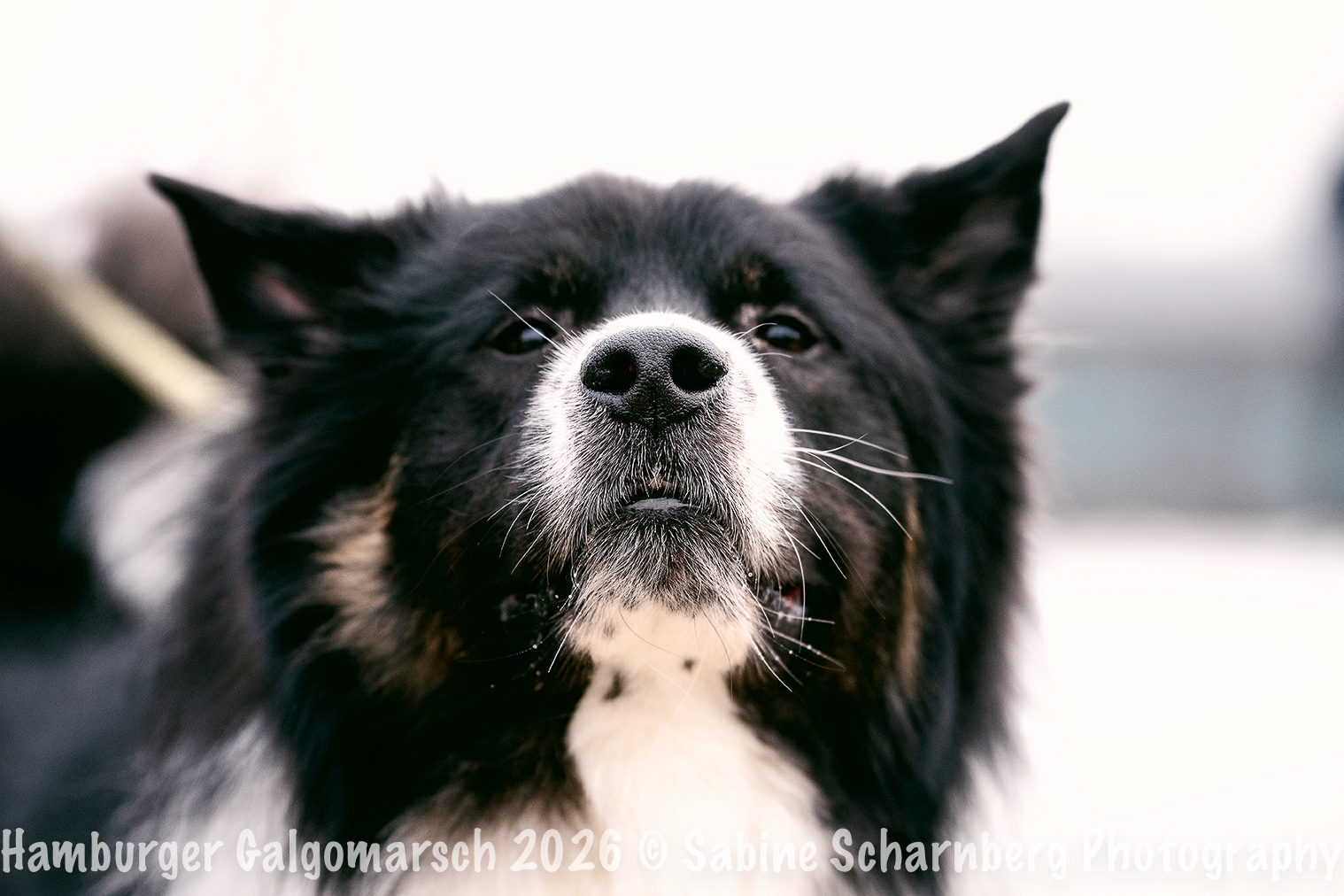 _Sabine Scharnberg Photography_BIN8488-Bearbeitet_Web