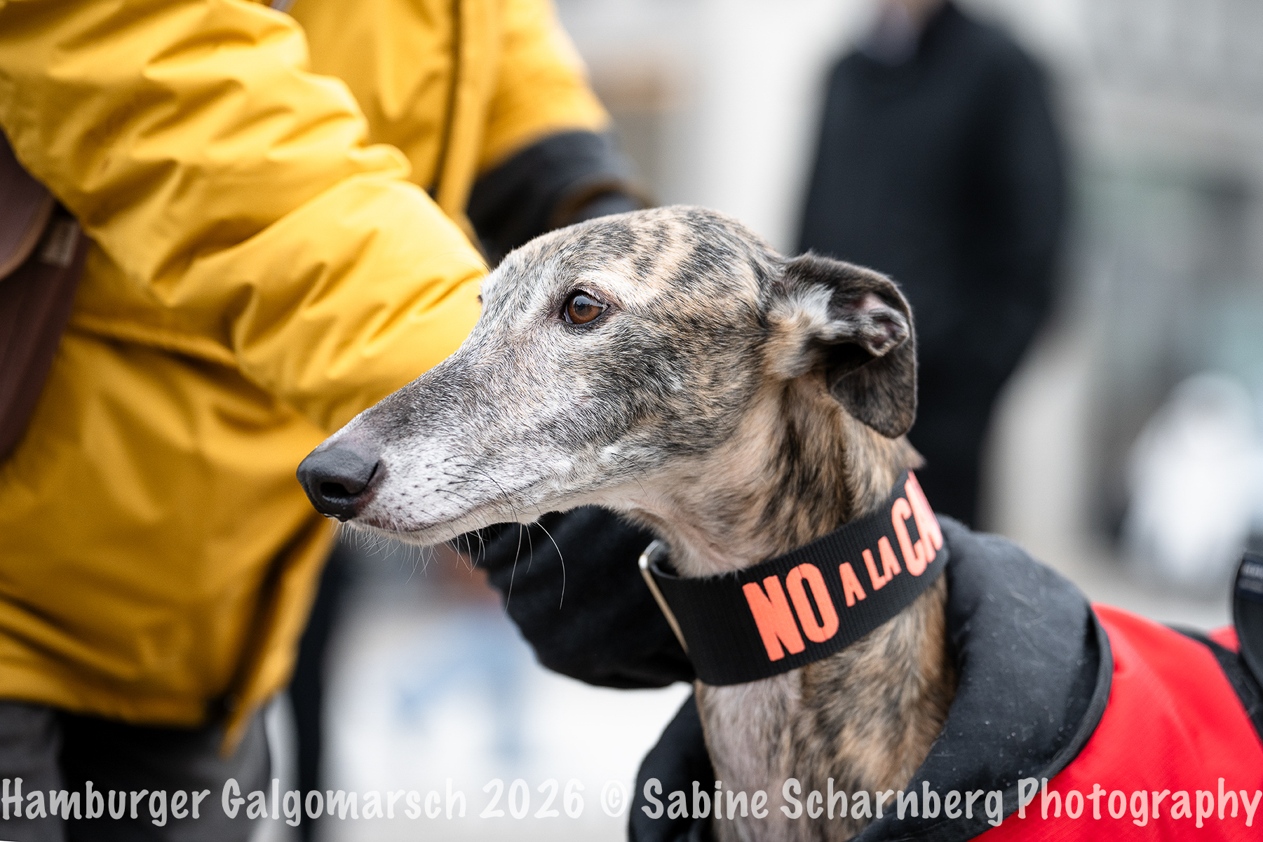 _Sabine Scharnberg Photography_BIN8495-Bearbeitet_Web