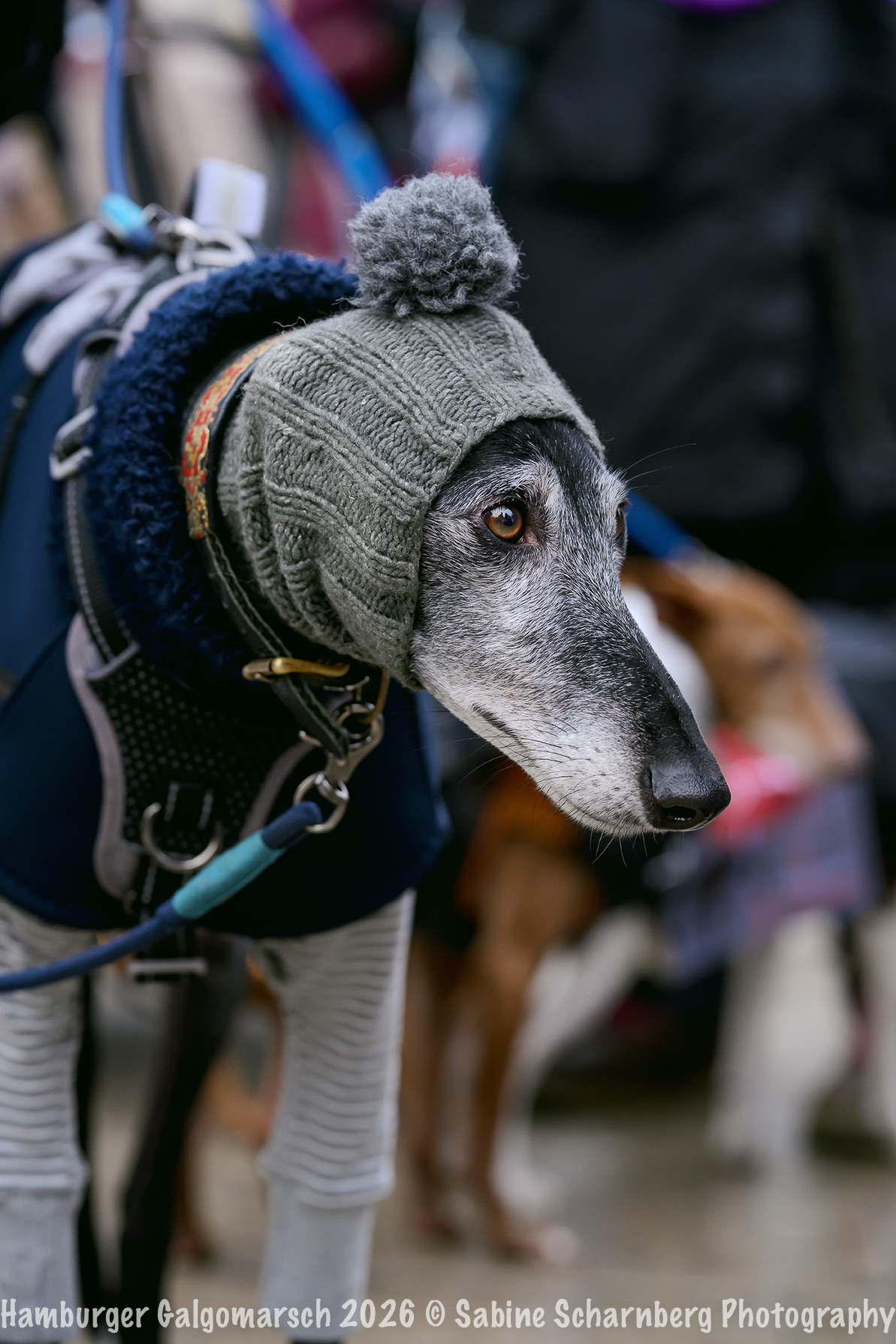 _Sabine Scharnberg Photography_BIN8531-Bearbeitet_Web