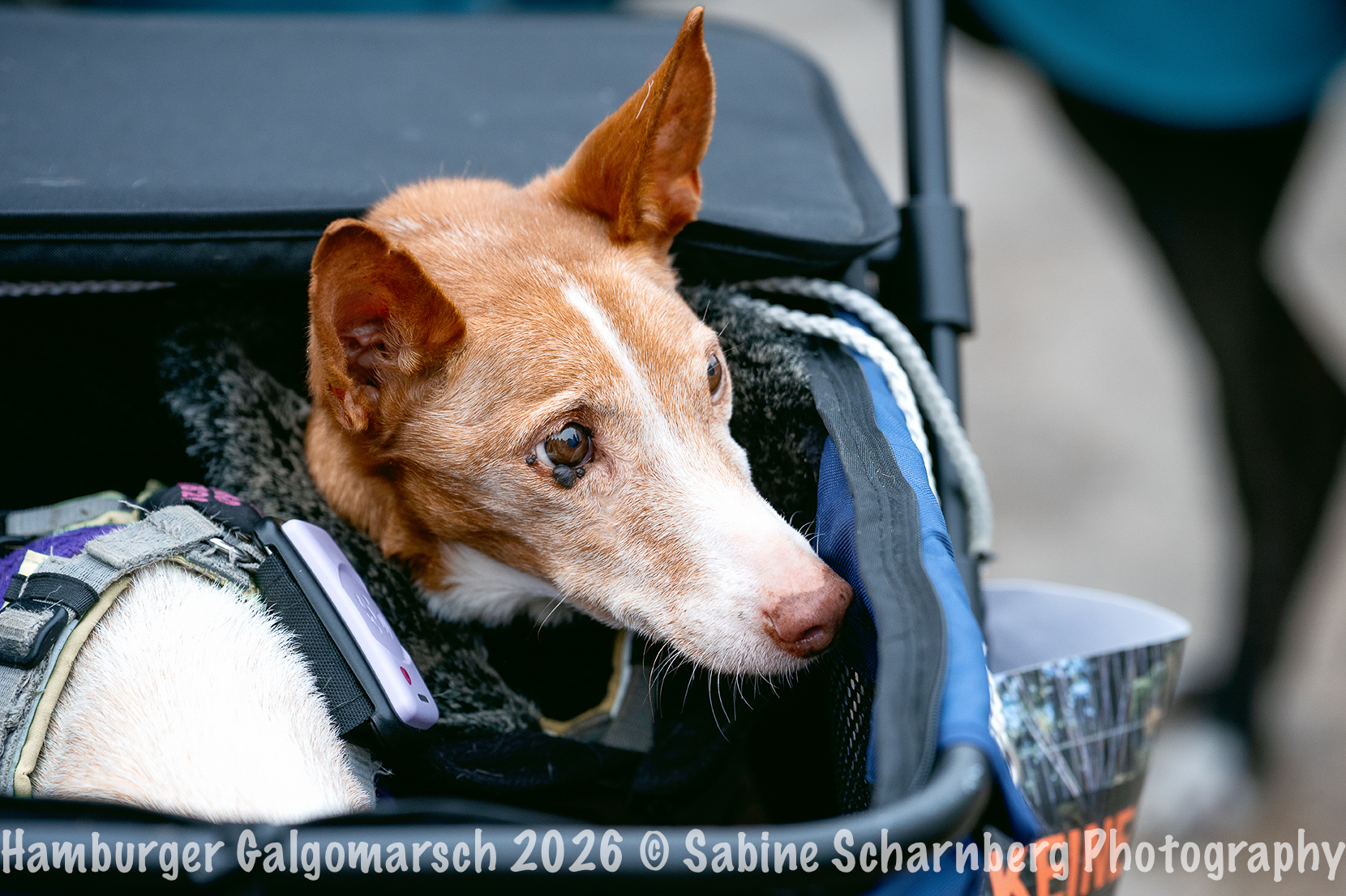 _Sabine Scharnberg Photography_BIN8539-Bearbeitet_Web