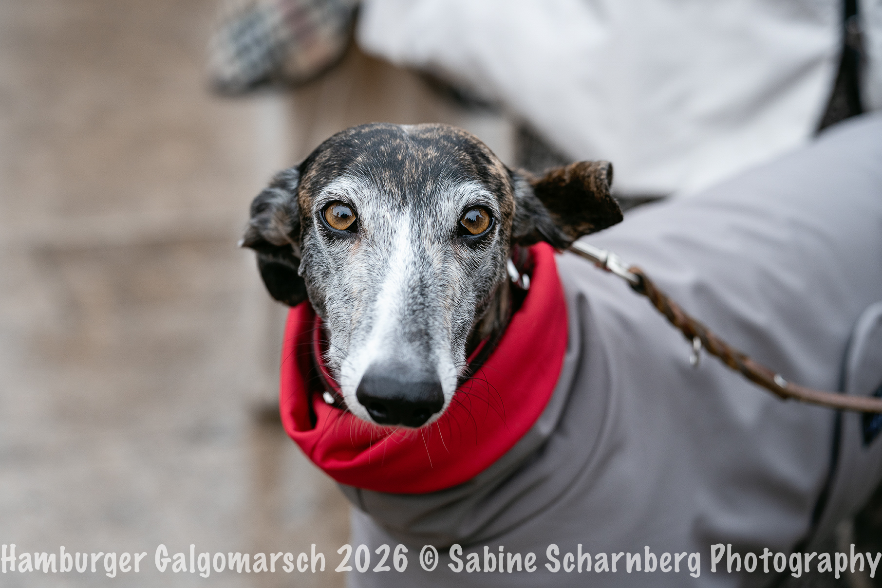 _Sabine Scharnberg Photography_BIN8542-Bearbeitet_Web