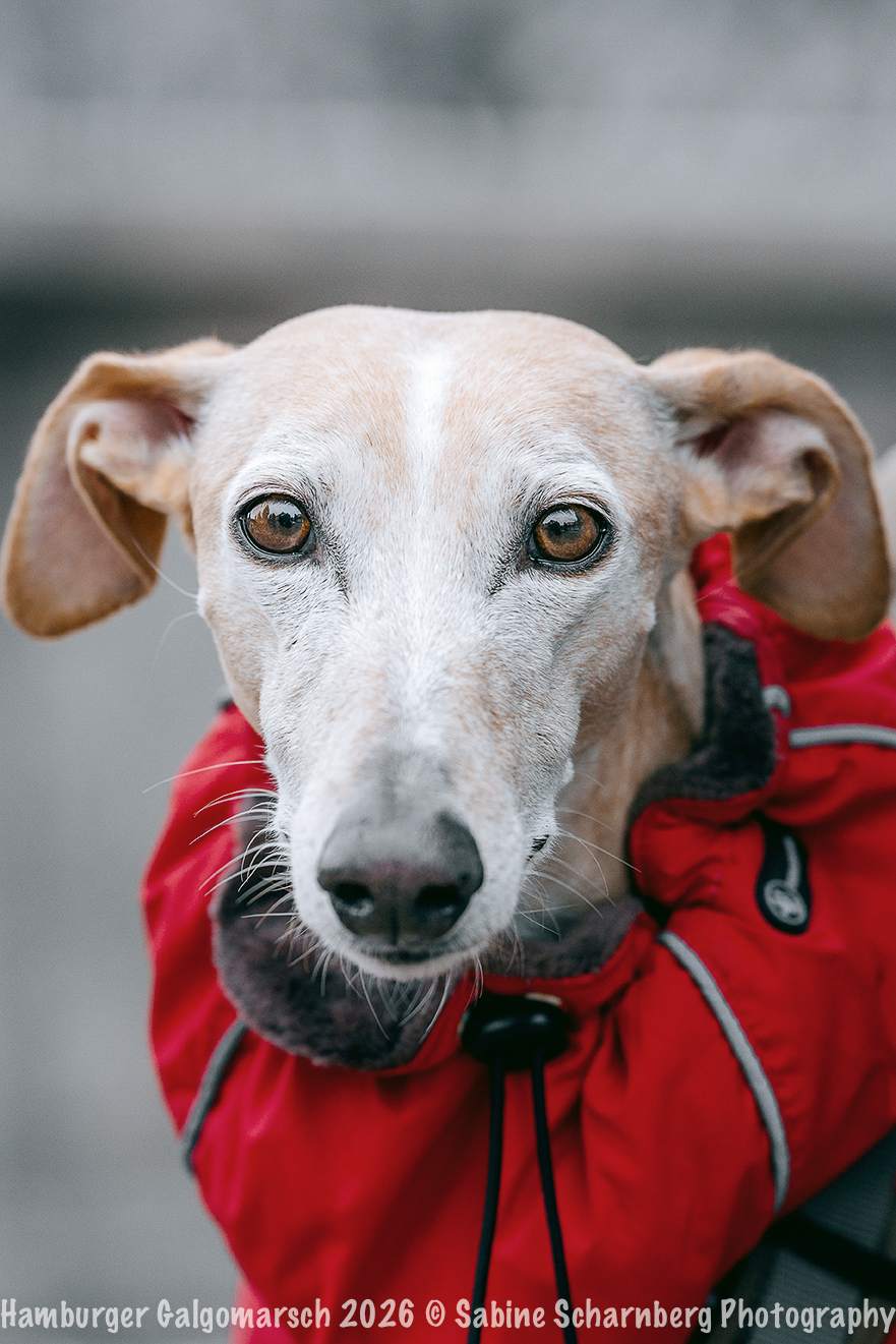 _Sabine Scharnberg Photography_BIN8549-Bearbeitet_Web