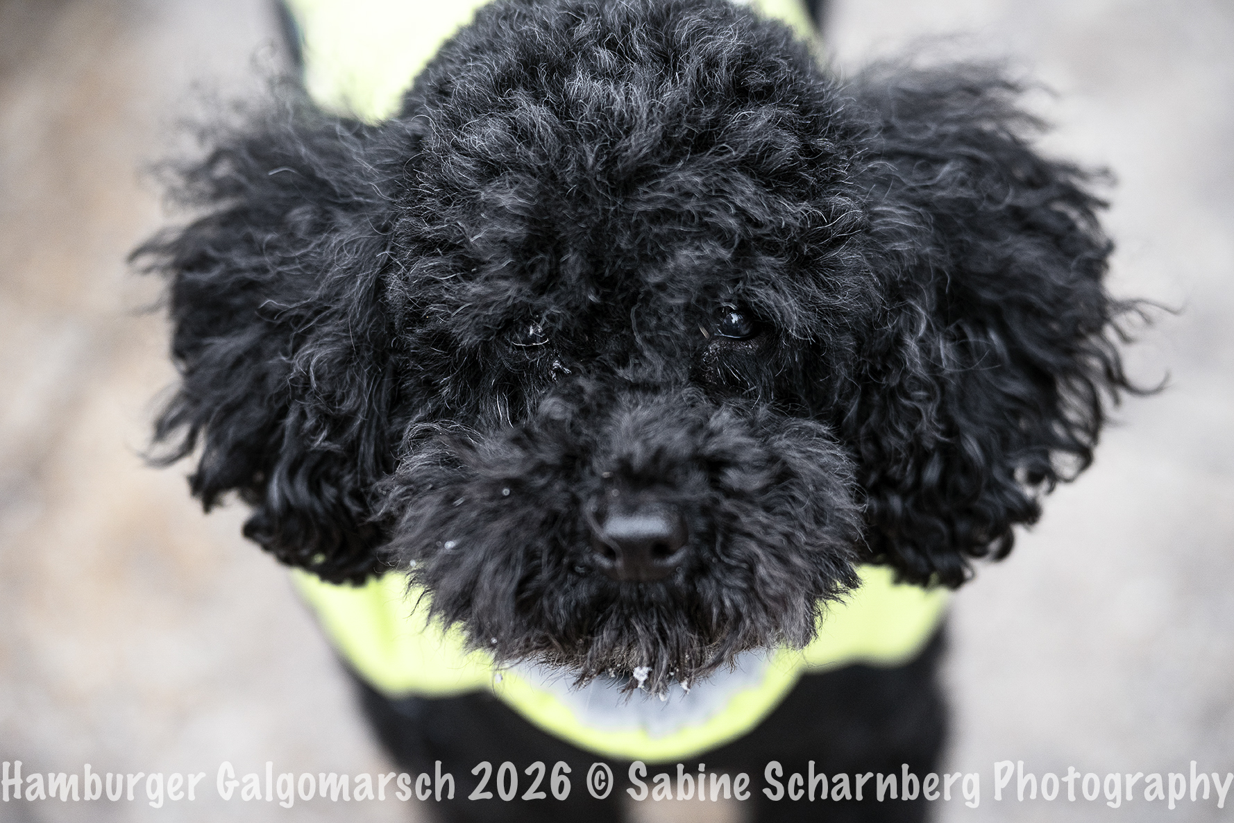 _Sabine Scharnberg Photography_BIN8555-Bearbeitet_Web