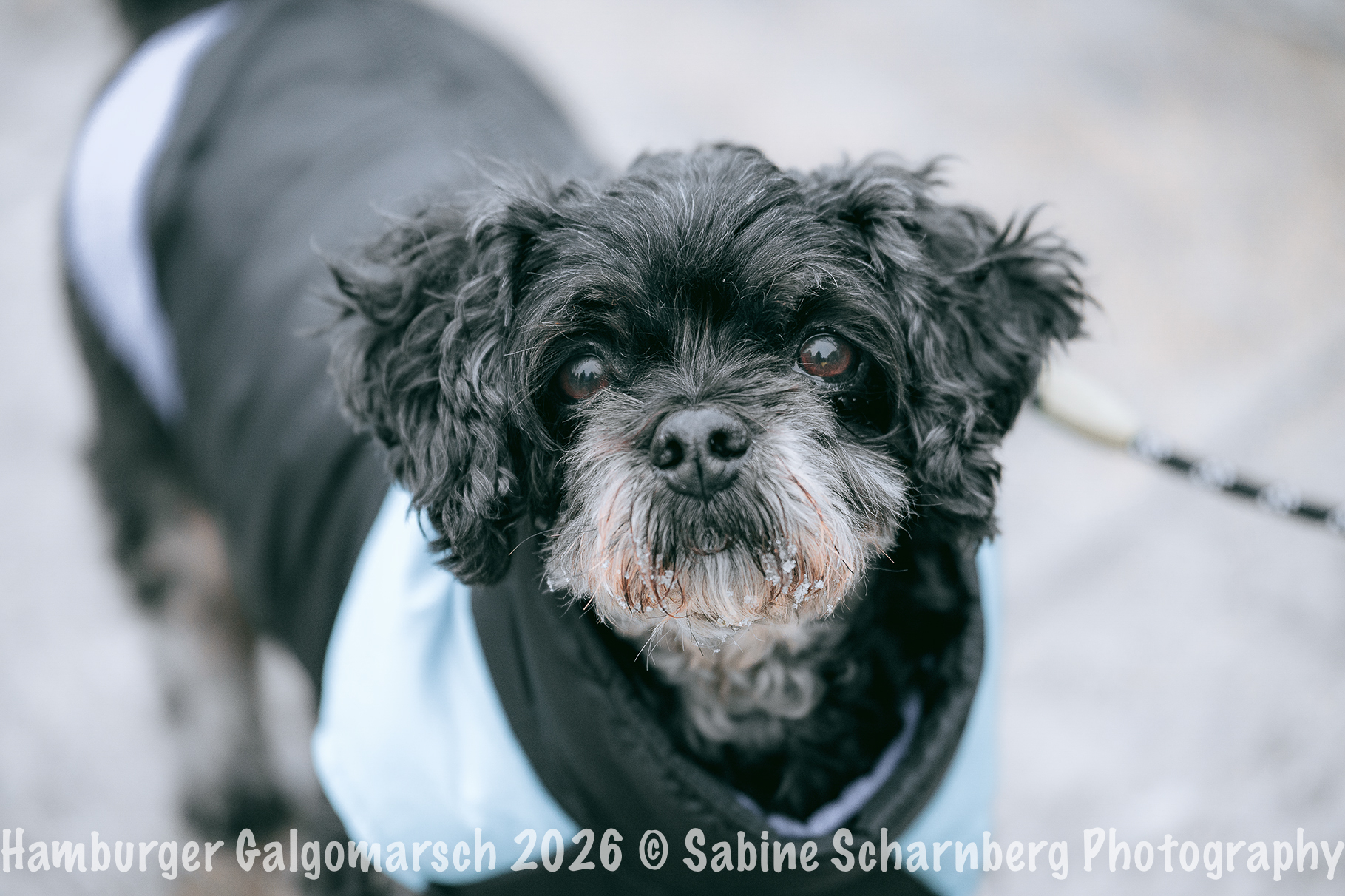 _Sabine Scharnberg Photography_BIN8558-Bearbeitet_Web