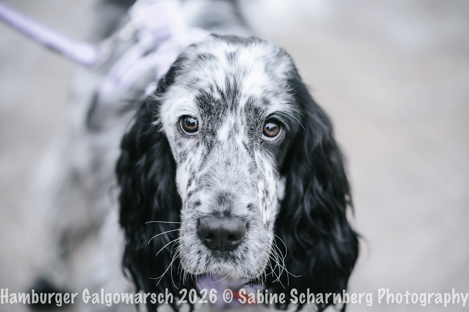 _Sabine Scharnberg Photography_BIN8559-Bearbeitet_Web