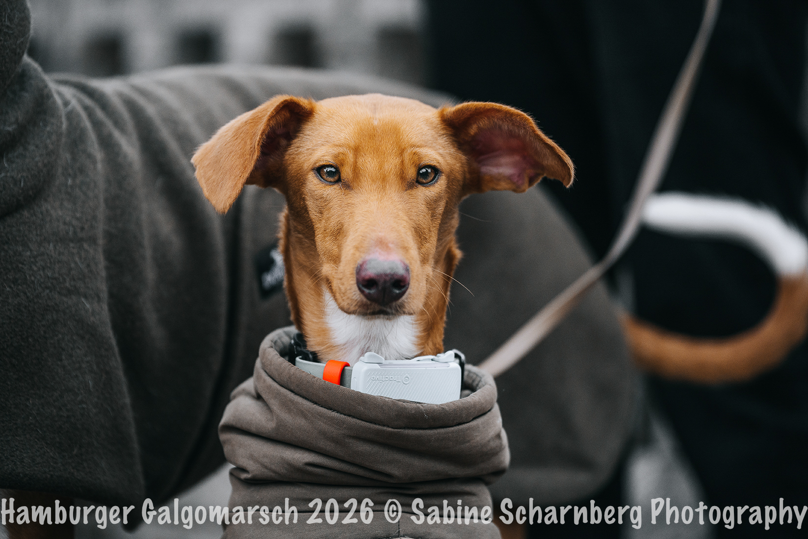 _Sabine Scharnberg Photography_BIN8572-Bearbeitet_Web