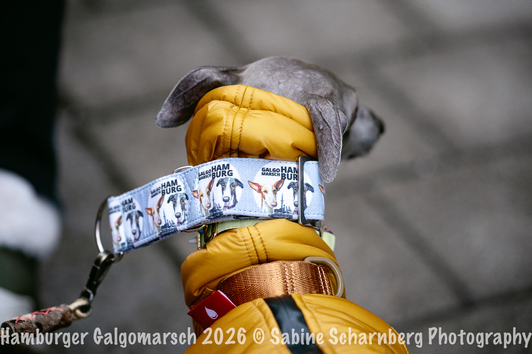 _Sabine Scharnberg Photography_BIN8643-Bearbeitet_Web