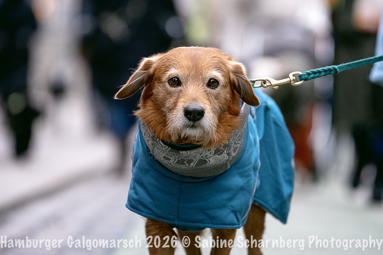 _Sabine Scharnberg Photography_BIN8668-Bearbeitet_Web