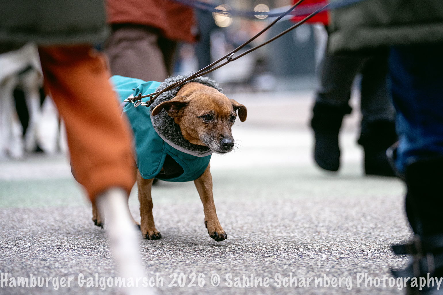 _Sabine Scharnberg Photography_BIN8676-Bearbeitet_Web
