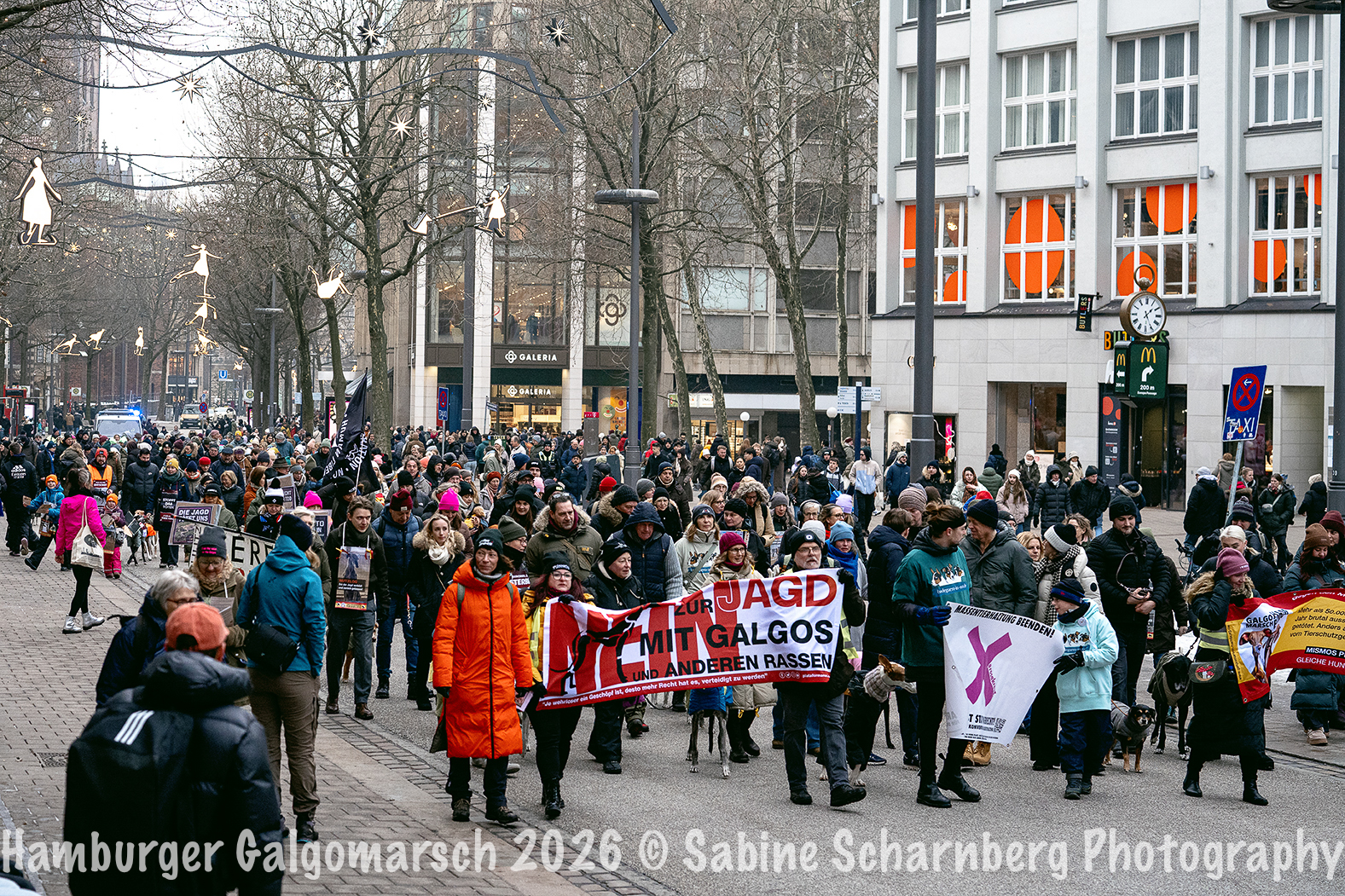 _Sabine Scharnberg Photography_BIN8684-Bearbeitet_Web