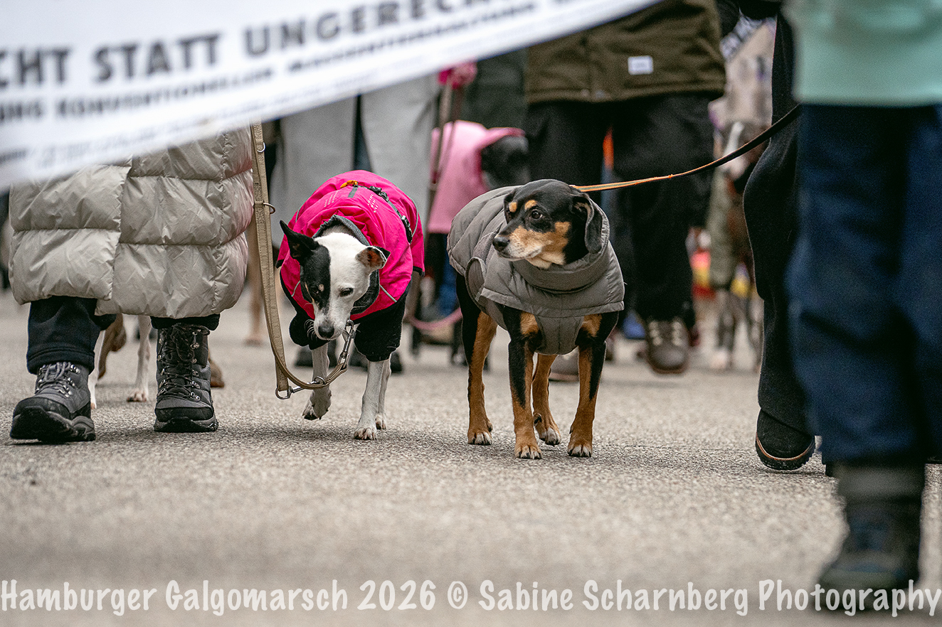 _Sabine Scharnberg Photography_BIN8698-Bearbeitet_Web