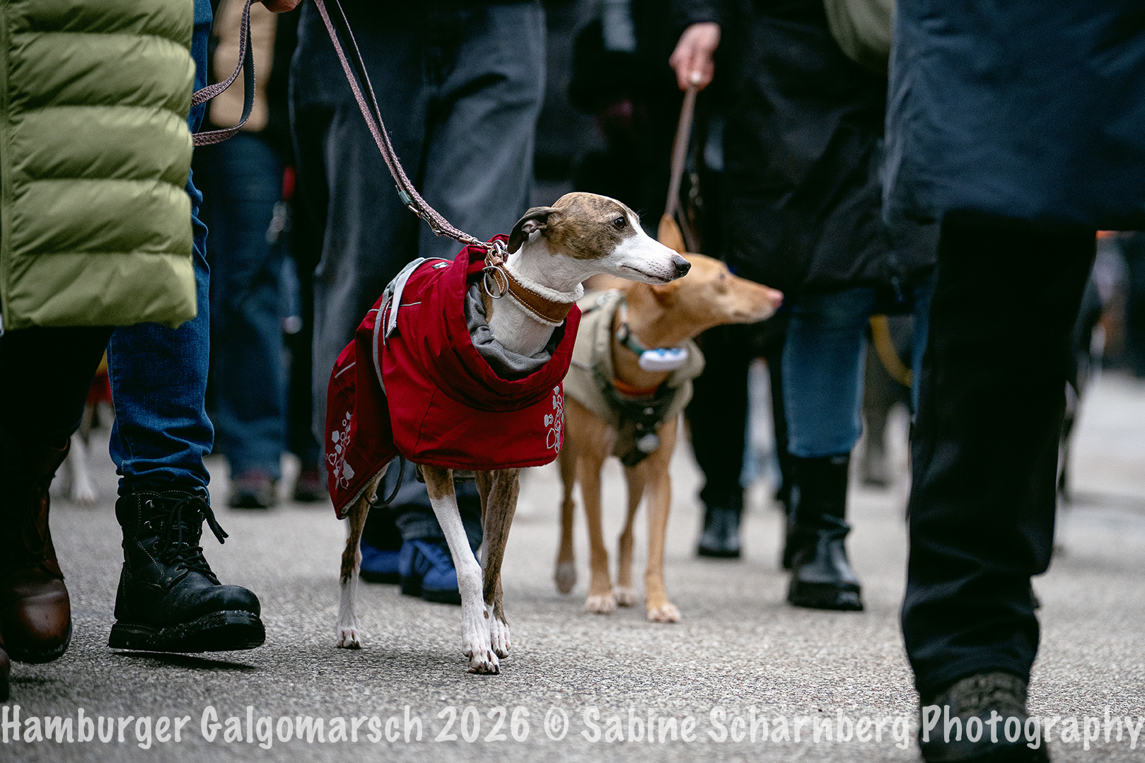 _Sabine Scharnberg Photography_BIN8704-Bearbeitet_Web