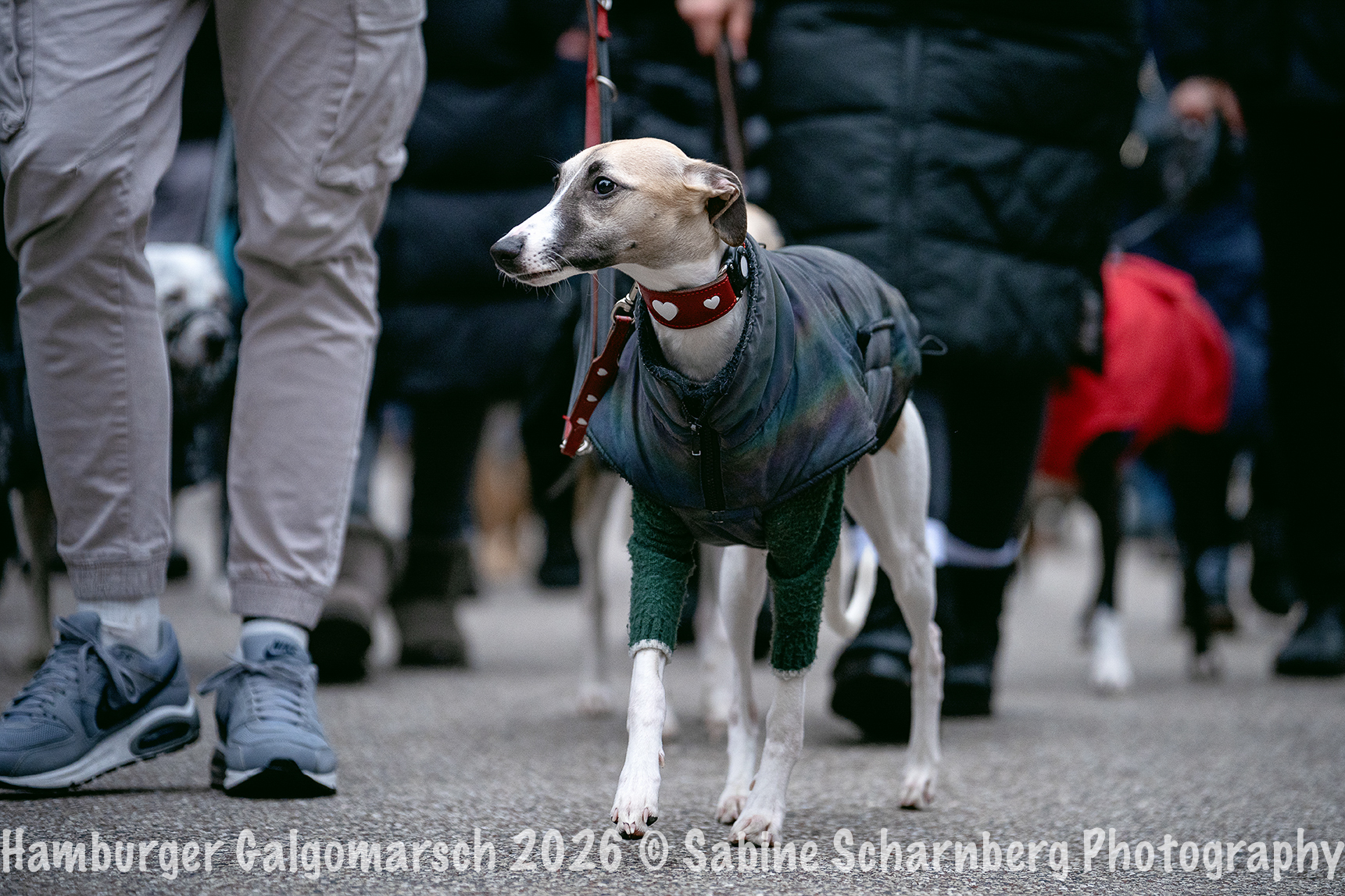 _Sabine Scharnberg Photography_BIN8710-Bearbeitet_Web