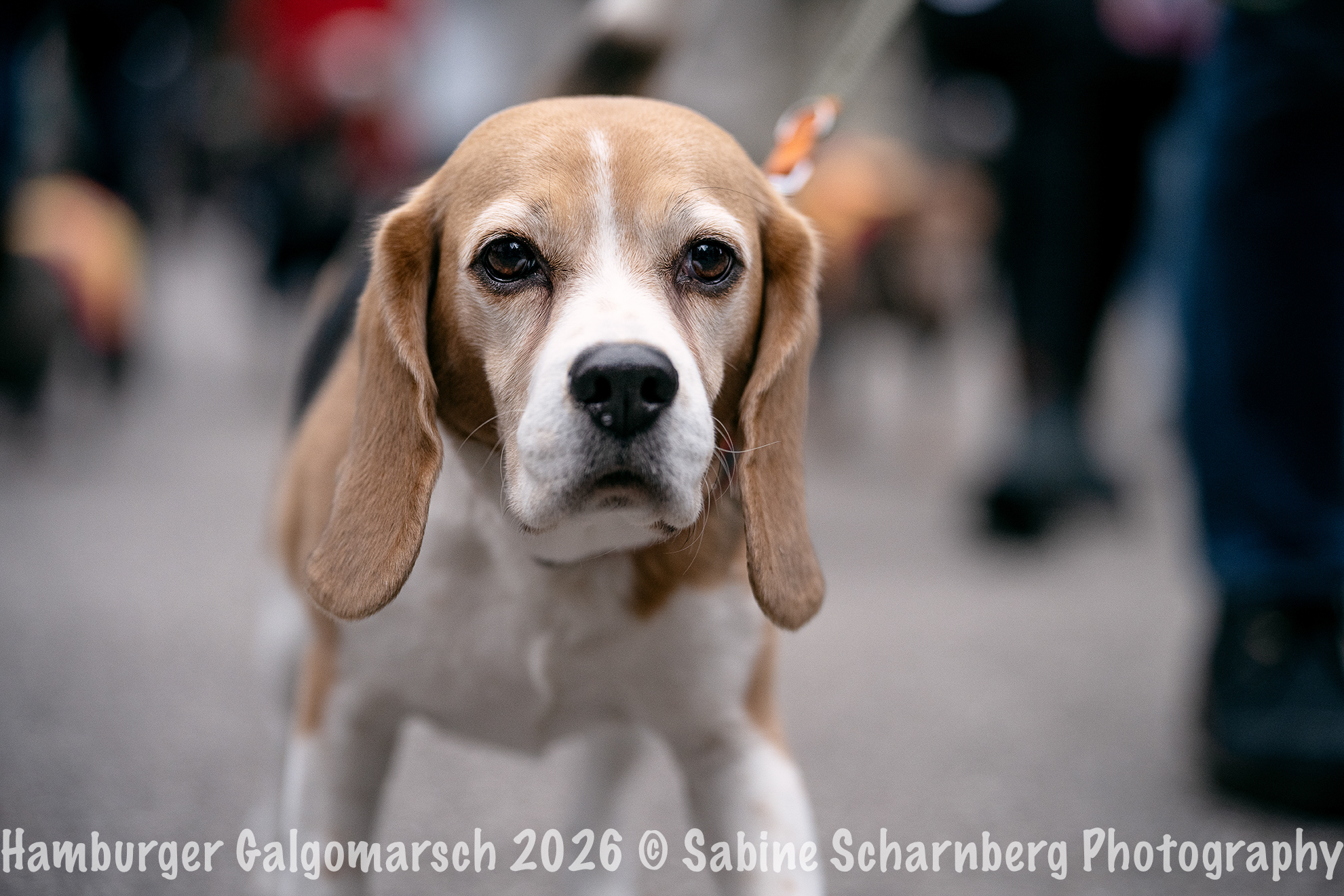 _Sabine Scharnberg Photography_BIN8720-Bearbeitet_Web