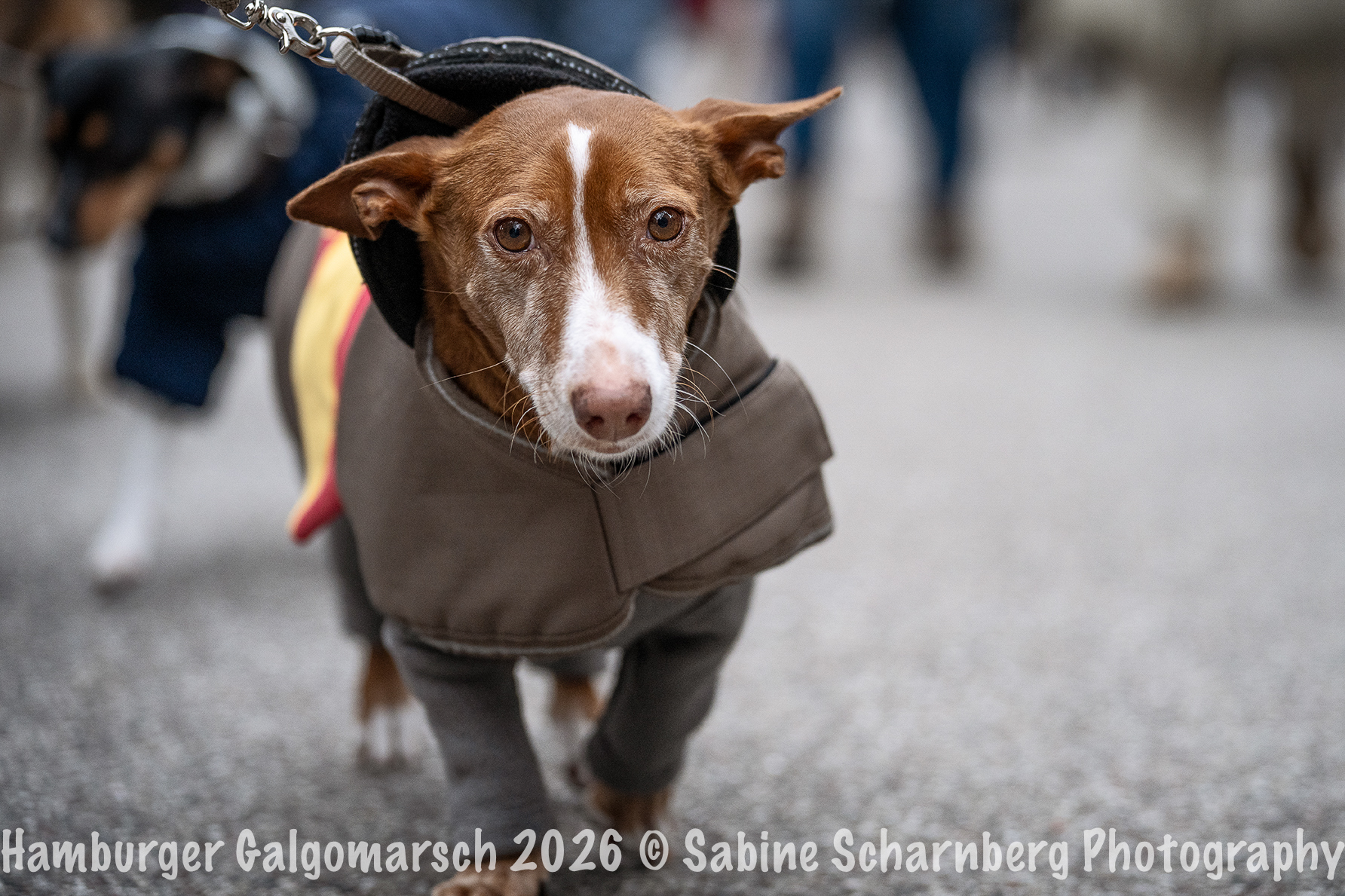 _Sabine Scharnberg Photography_BIN8724-Bearbeitet_Web