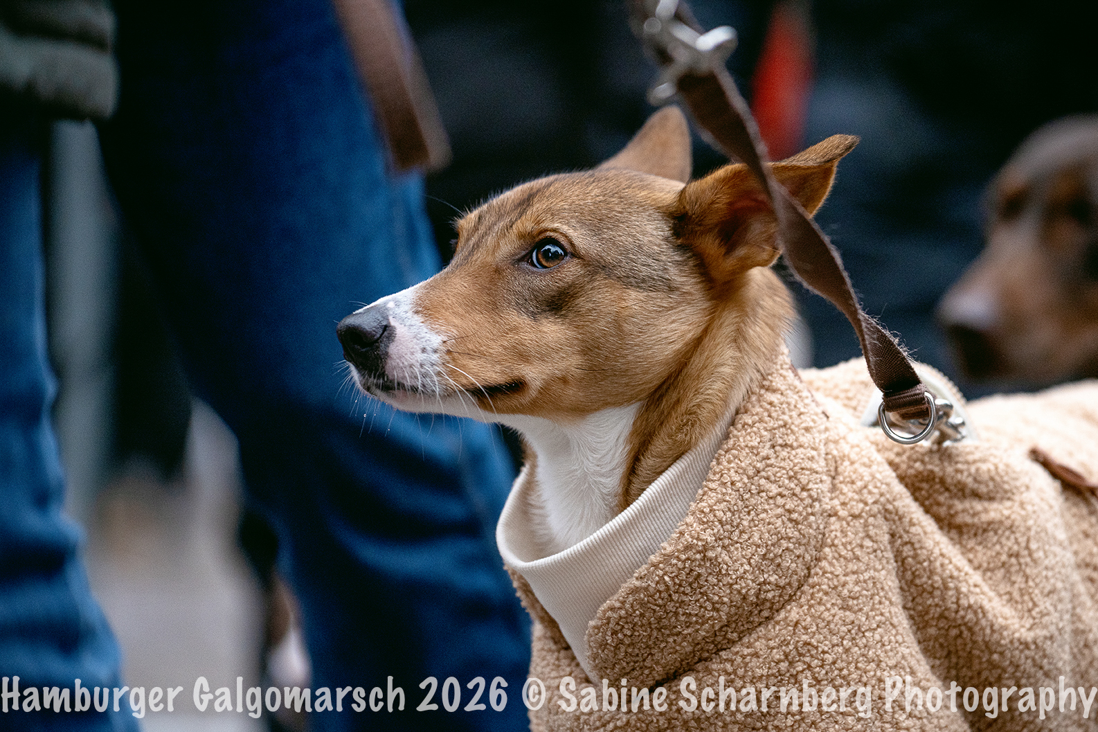 _Sabine Scharnberg Photography_BIN8733-Bearbeitet_Web