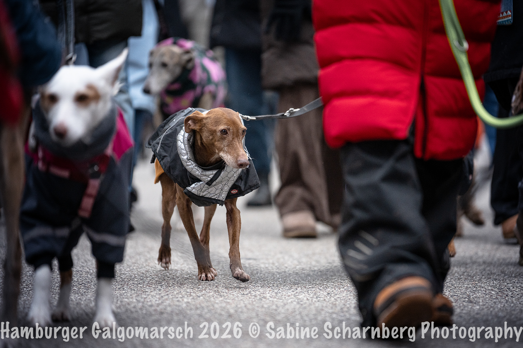 _Sabine Scharnberg Photography_BIN8747-Bearbeitet_Web