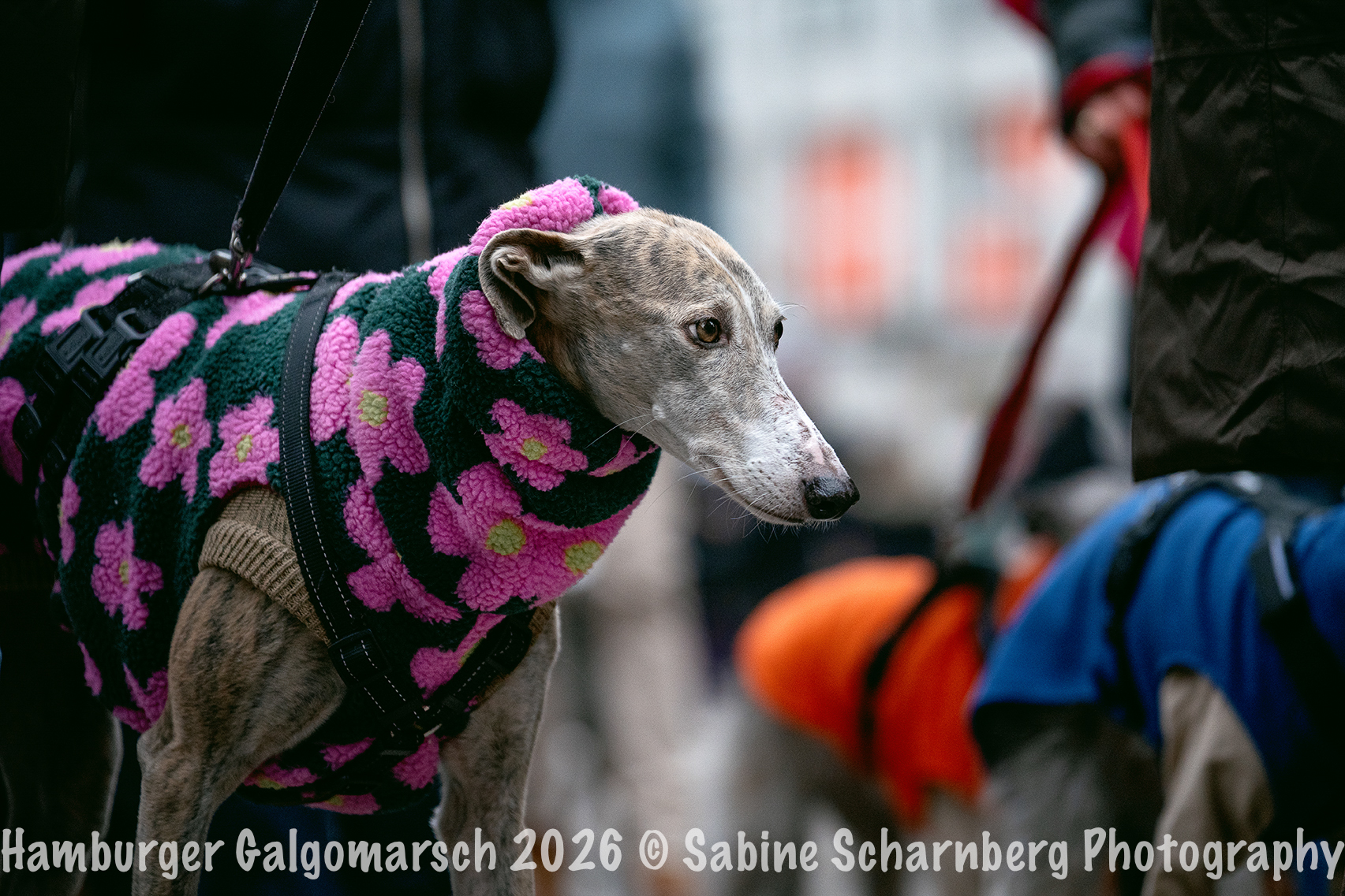 _Sabine Scharnberg Photography_BIN8750-Bearbeitet_Web