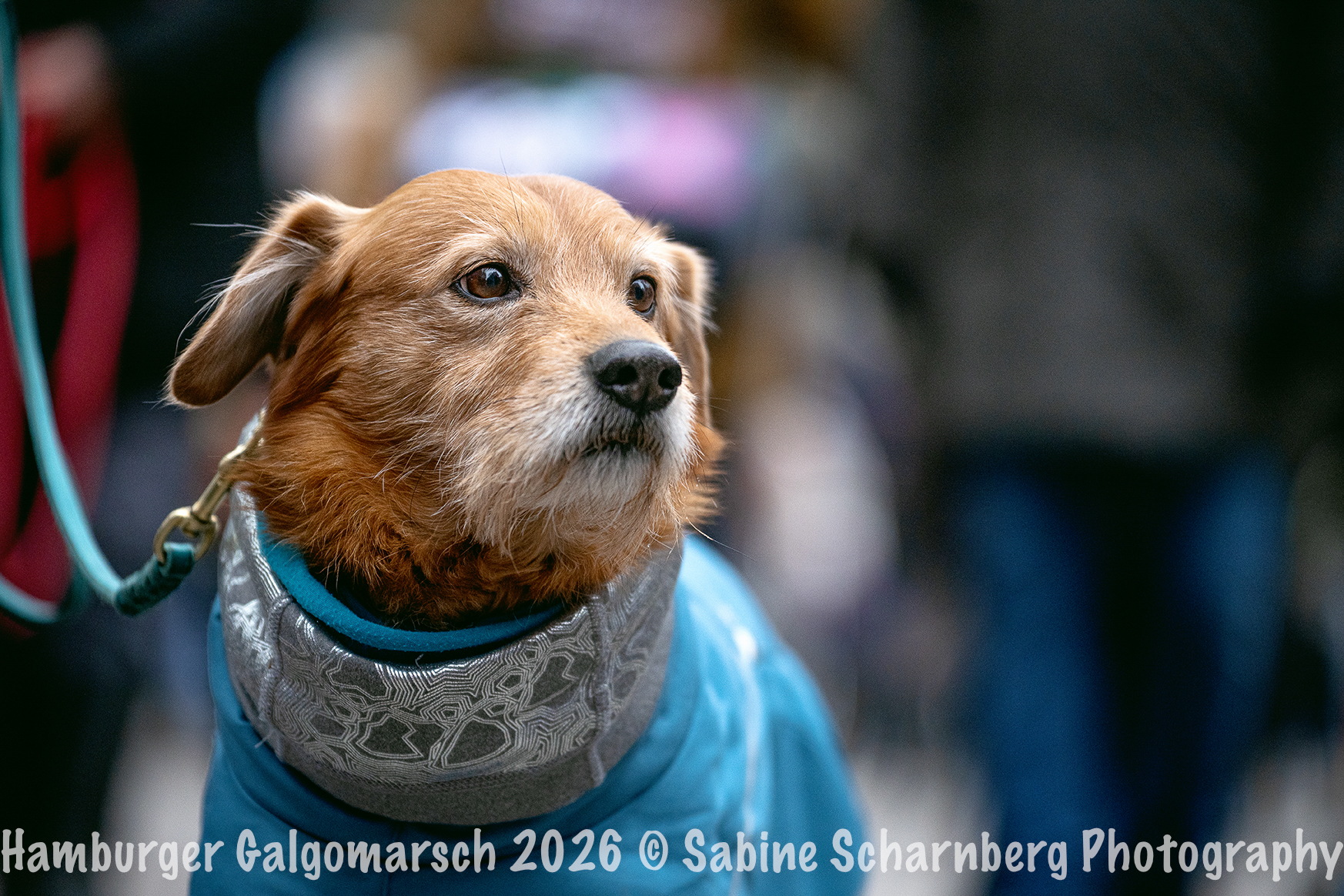 _Sabine Scharnberg Photography_BIN8753-Bearbeitet_Web