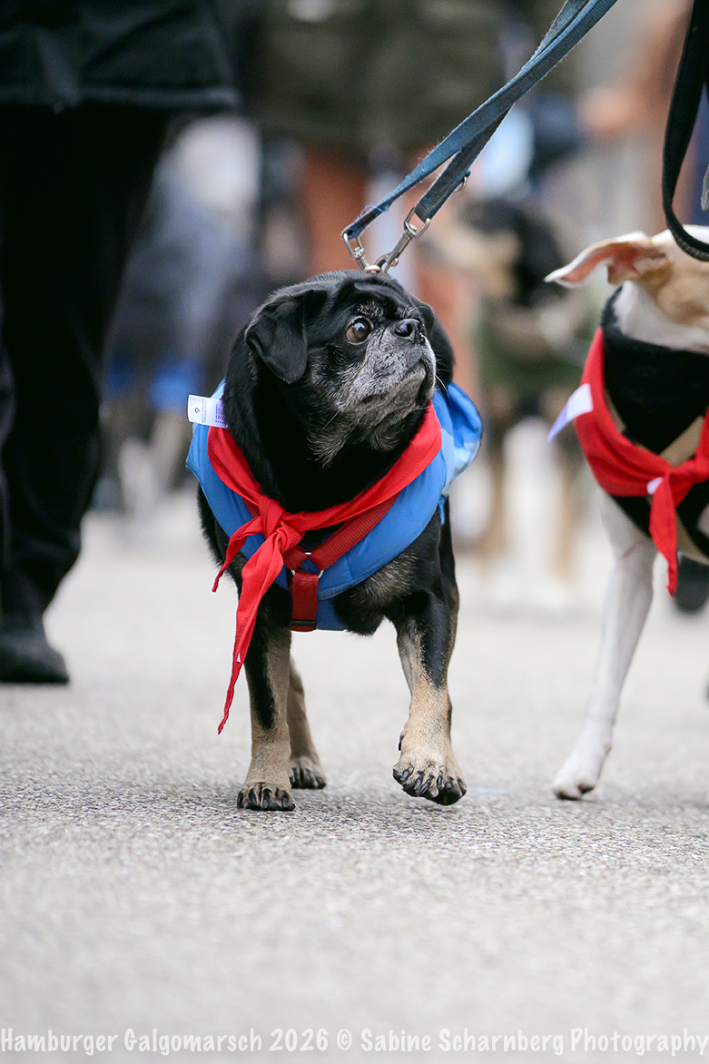 _Sabine Scharnberg Photography_BIN8755-Bearbeitet_Web