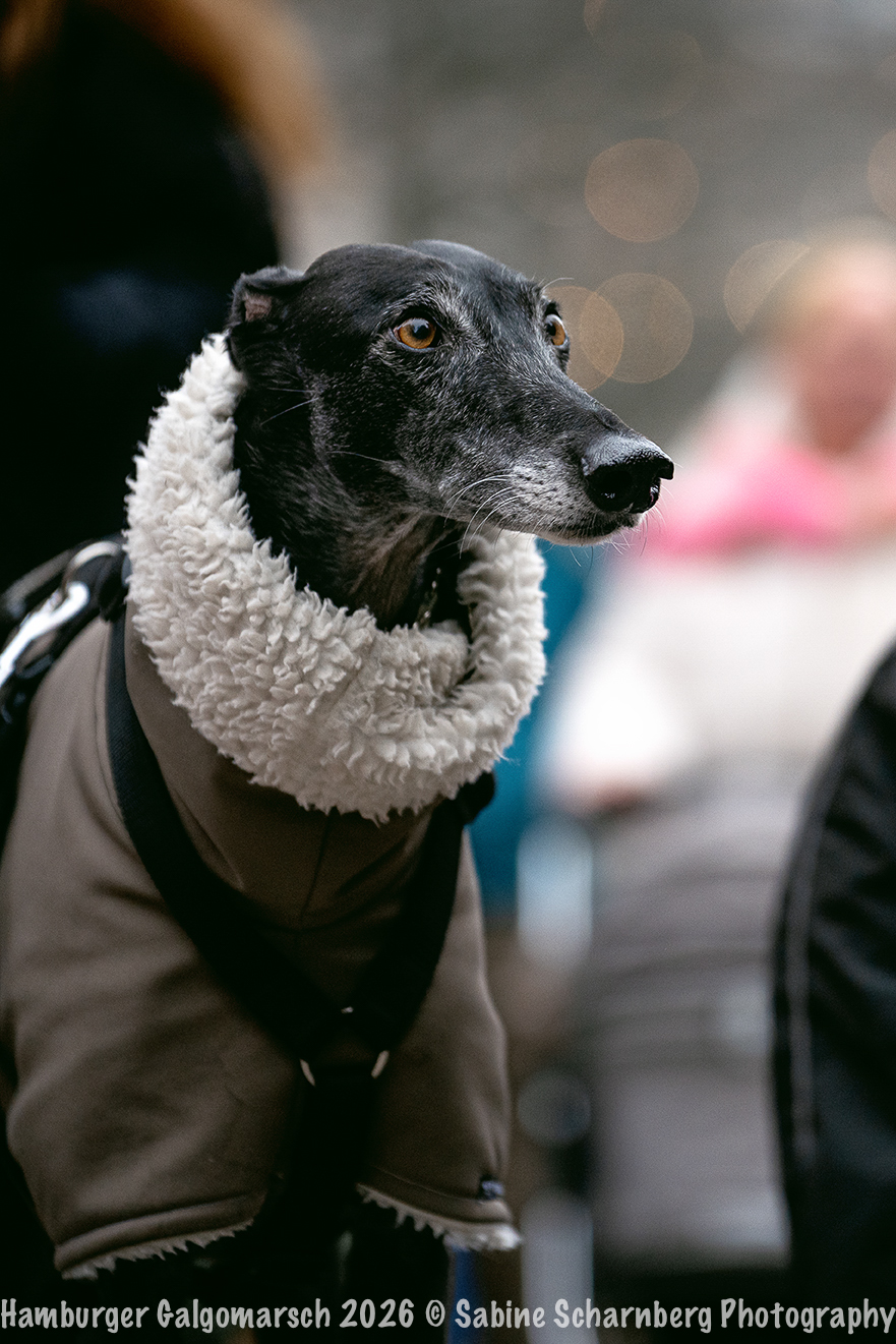 _Sabine Scharnberg Photography_BIN8759-Bearbeitet_Web