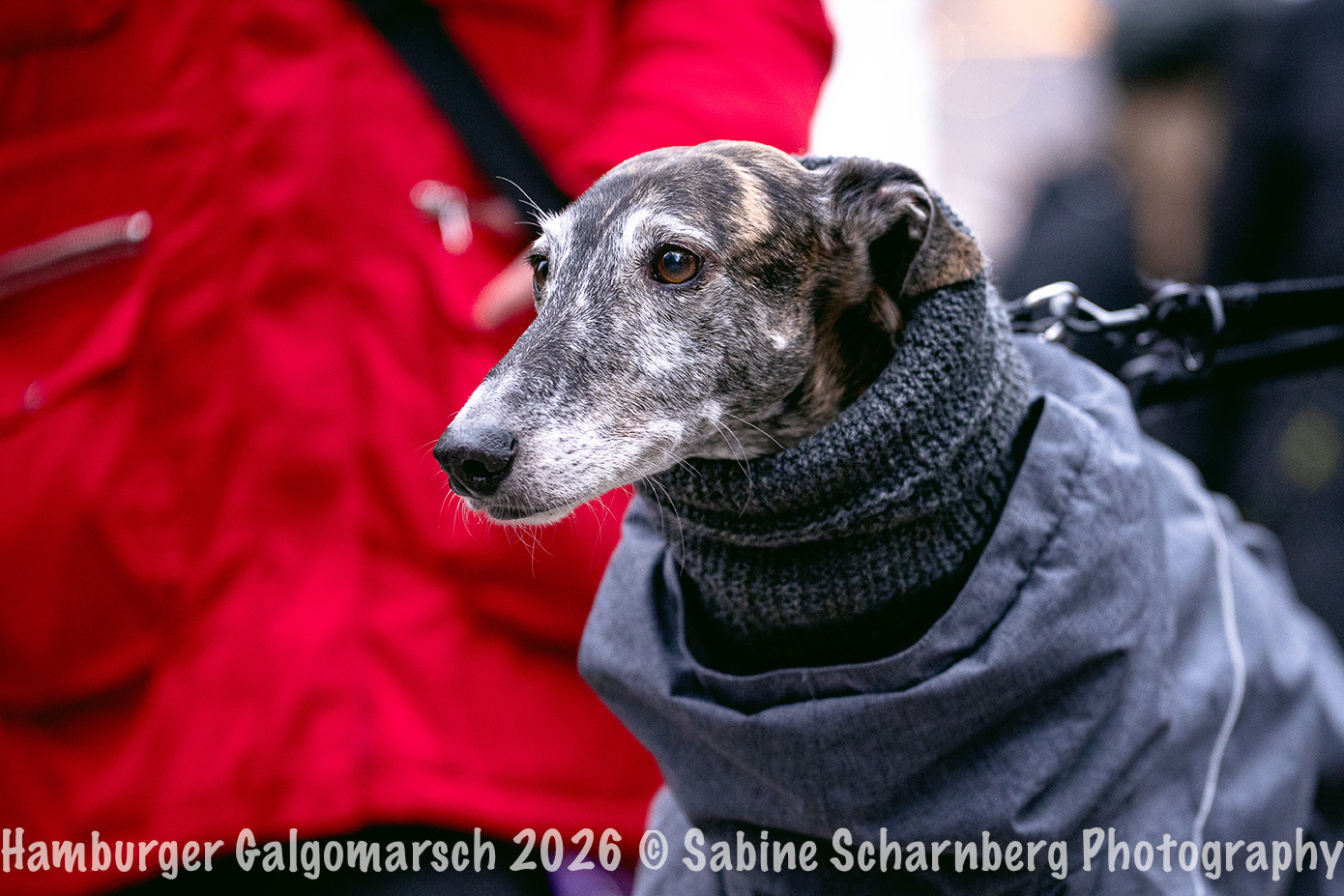 _Sabine Scharnberg Photography_BIN8766-Bearbeitet_Web