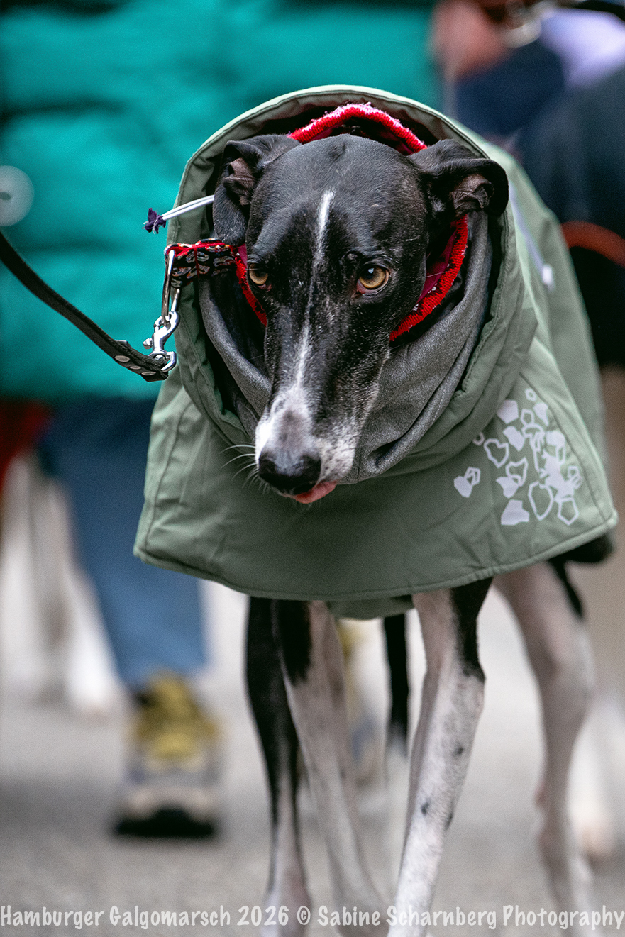 _Sabine Scharnberg Photography_BIN8776-Bearbeitet_Web